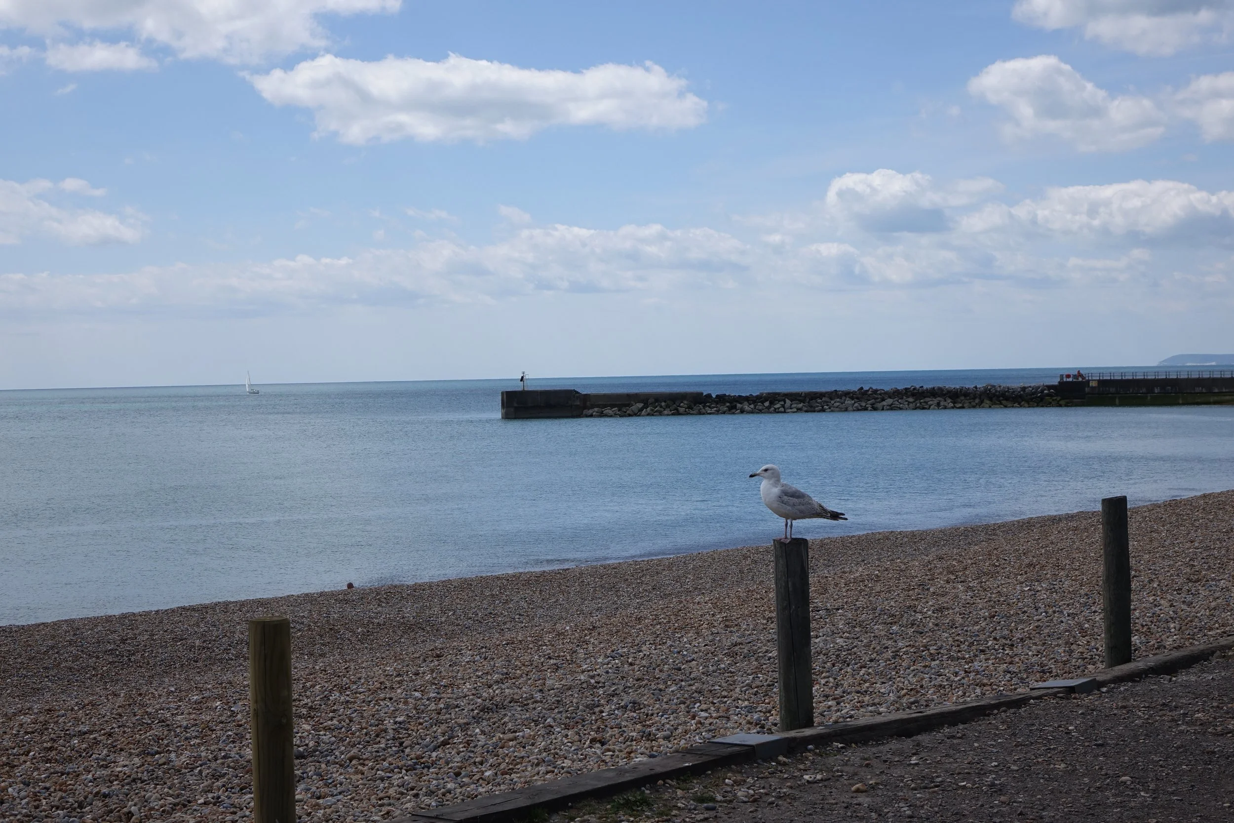 DSC00334.JPG