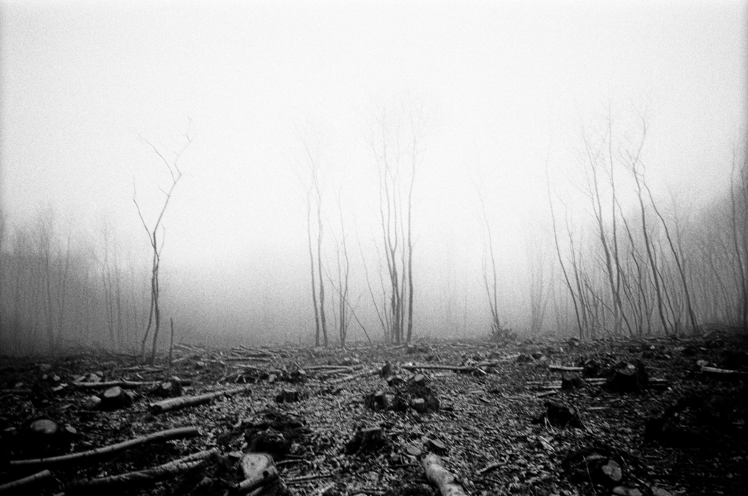 0019-47871.jpg