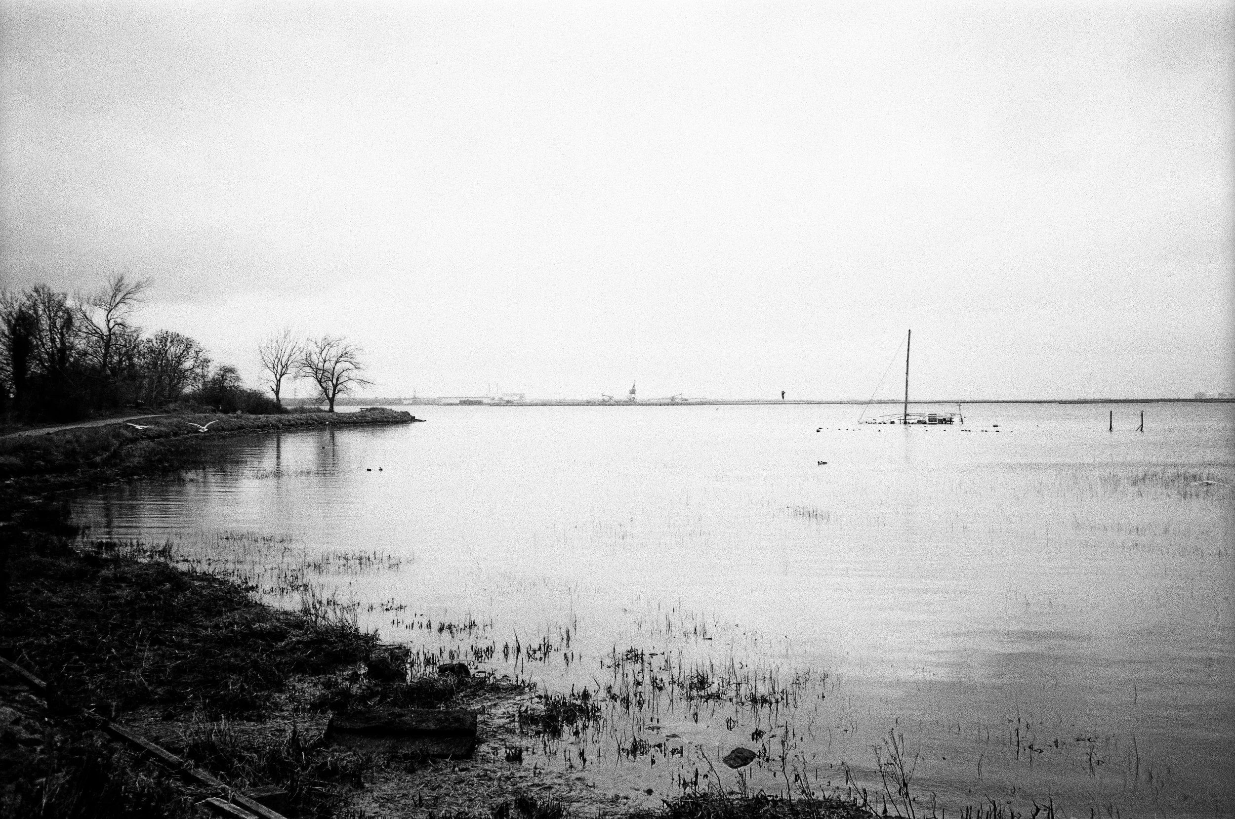 0015-93743.jpg