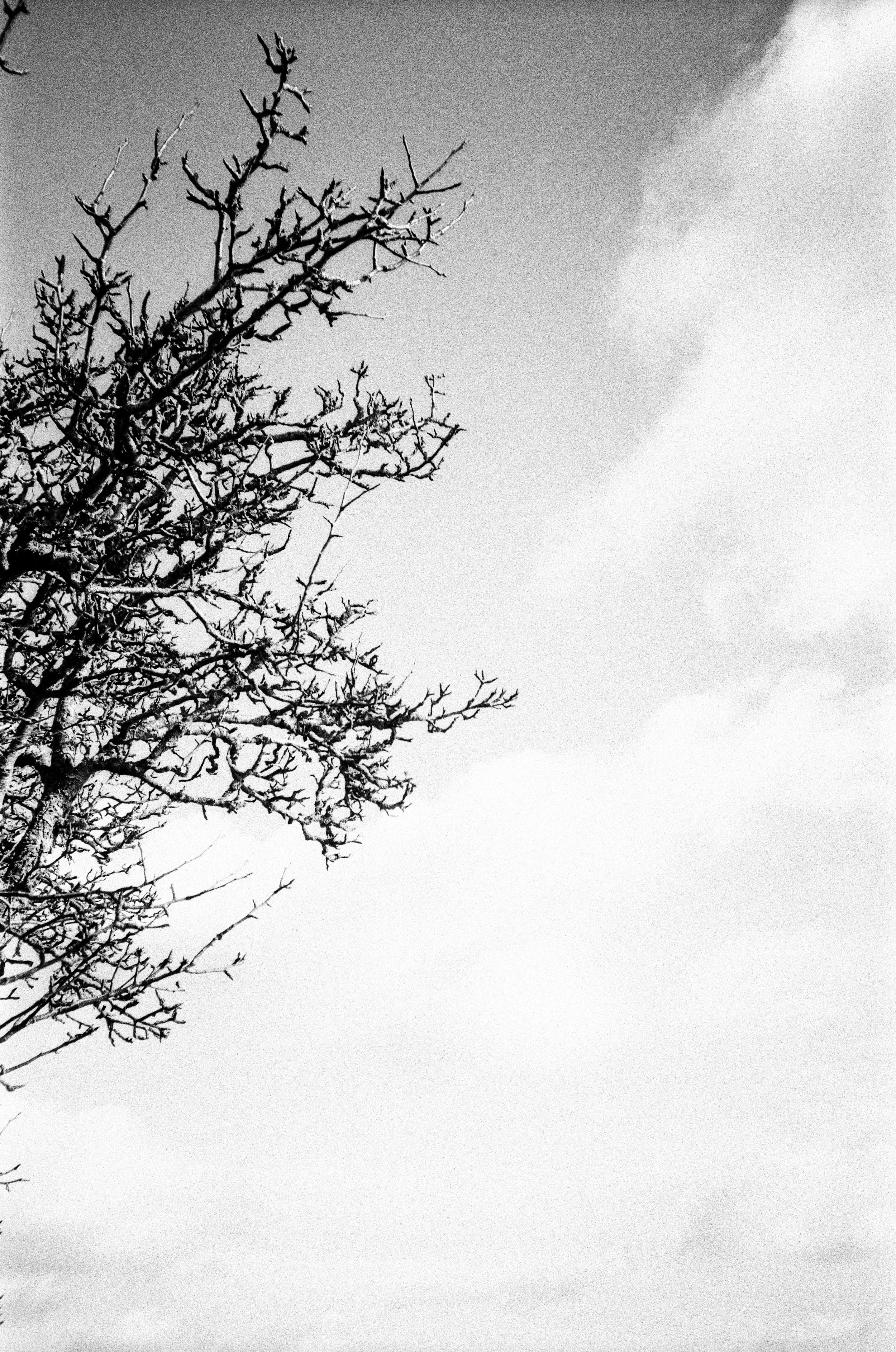 005-01215.jpg