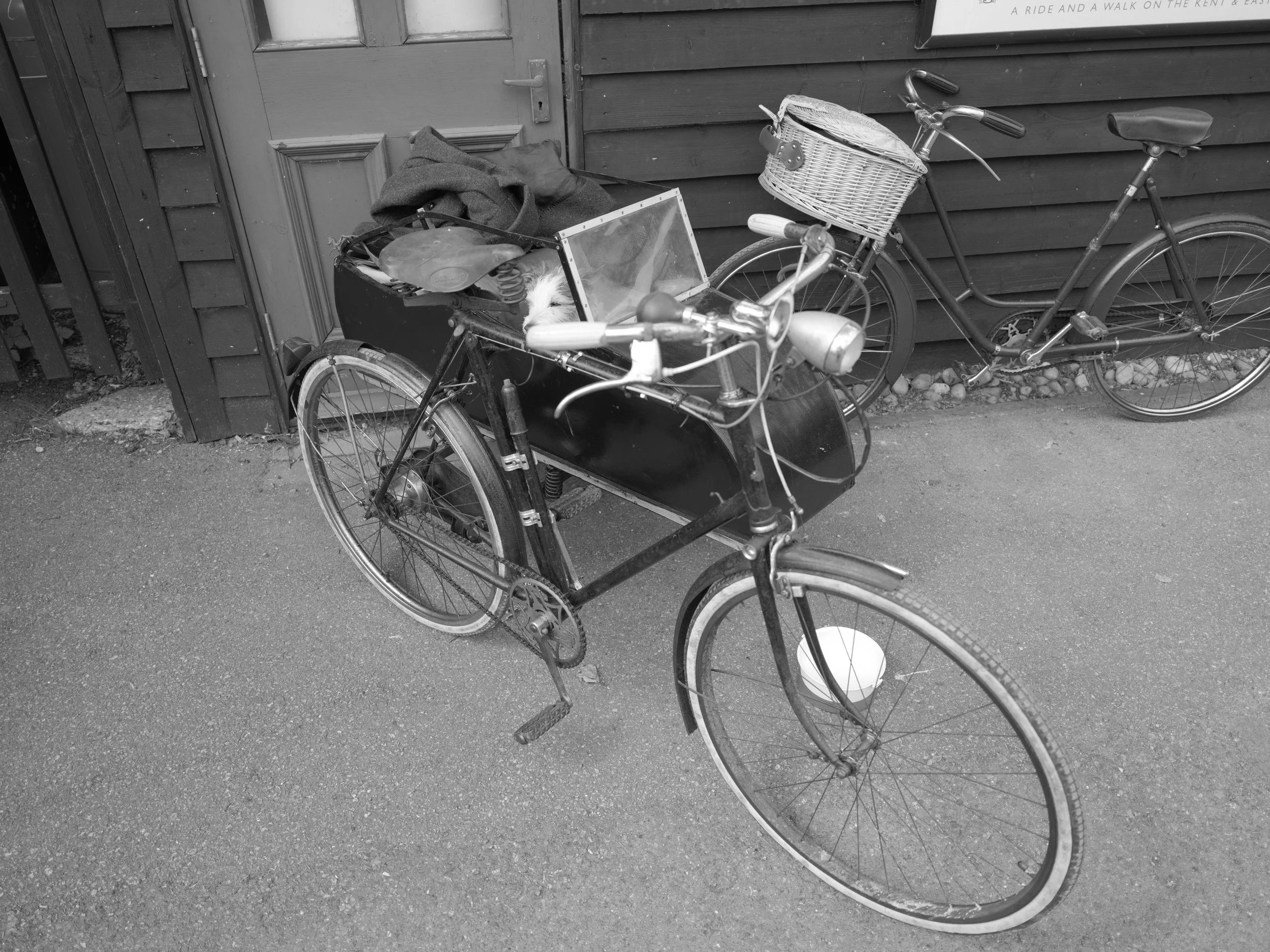 GFXR0490.JPG