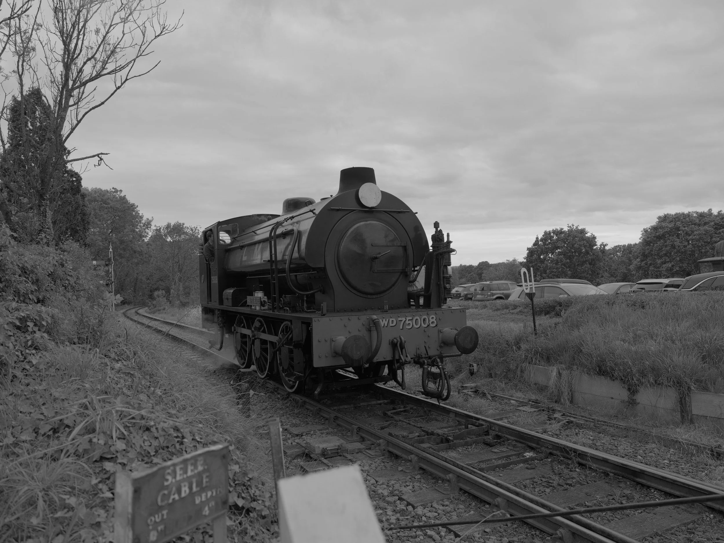 GFXR0649.JPG
