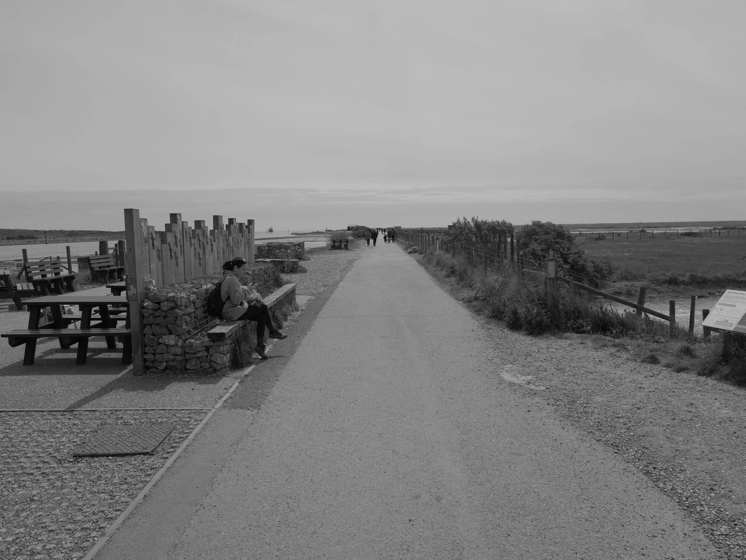 GFXR0676.JPG