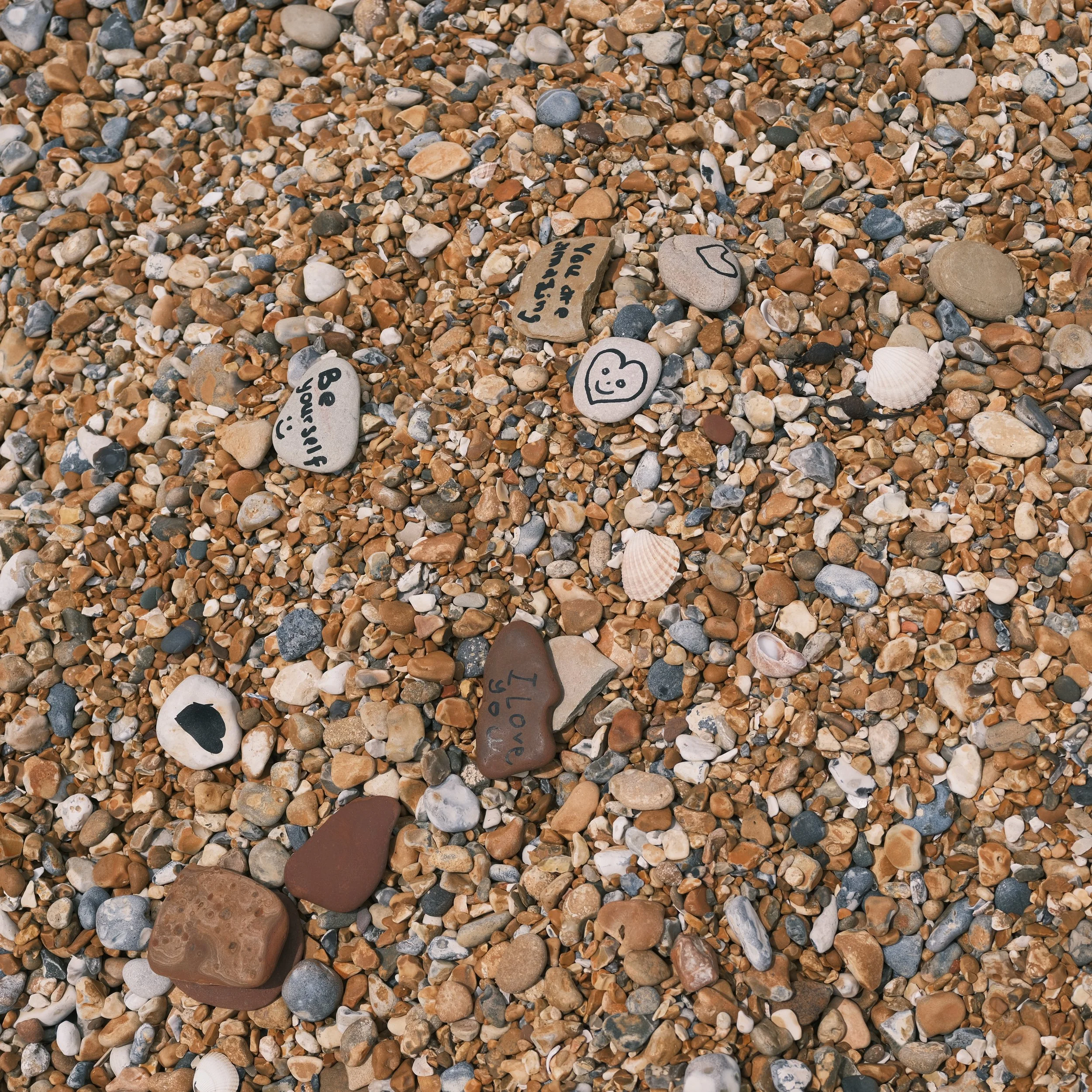 GFXR0917.JPG