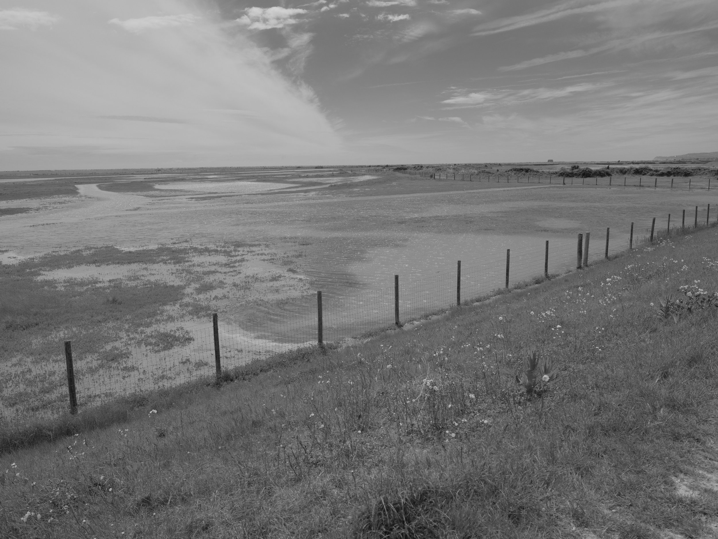 GFXR0939.JPG