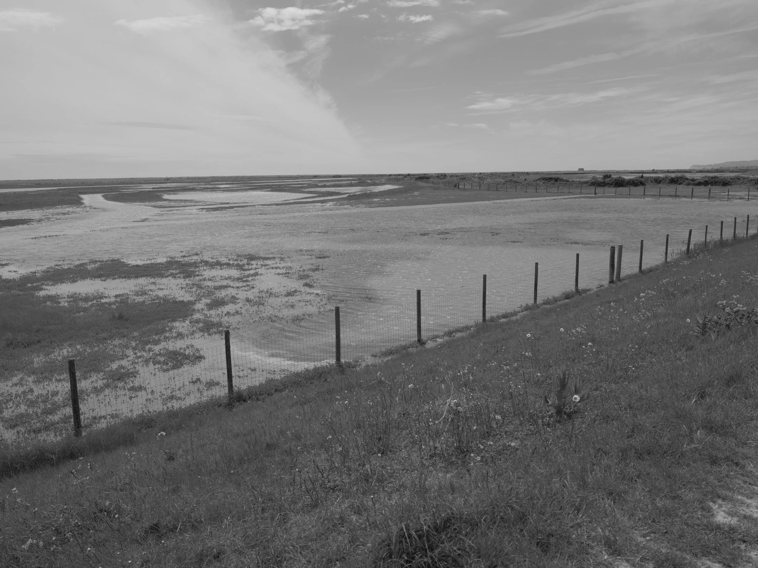 GFXR0940.JPG