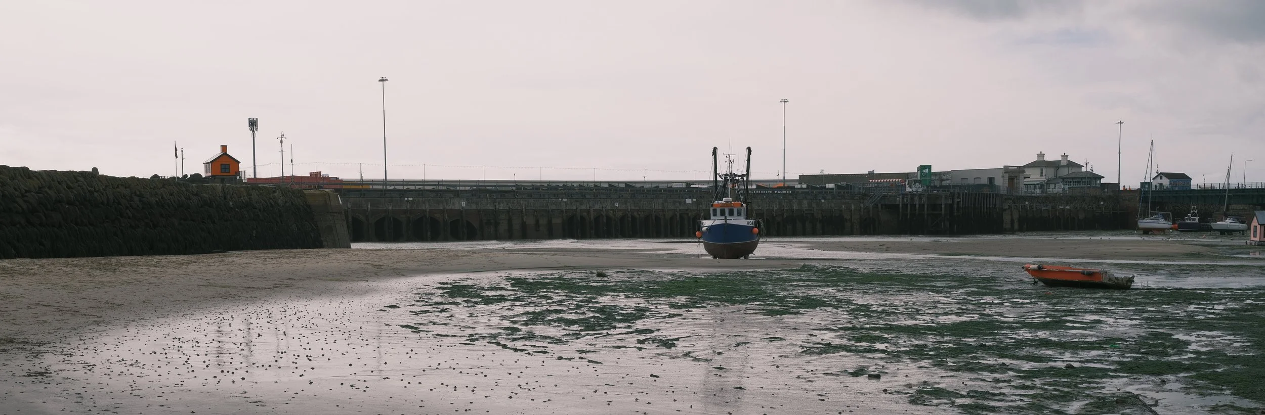 GFXR4793.JPG