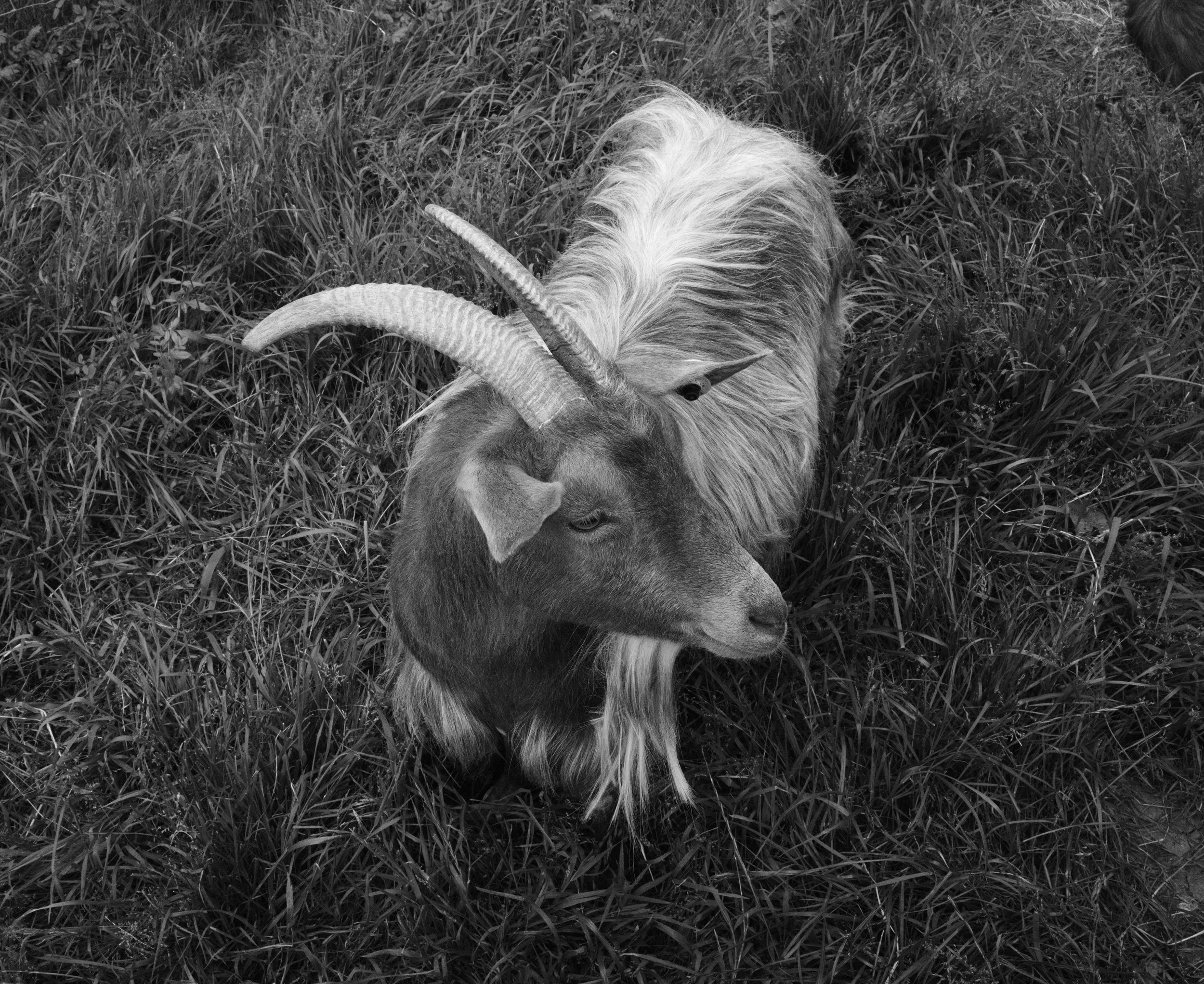 A soul moves through time and space. We meet them if we choose to see.