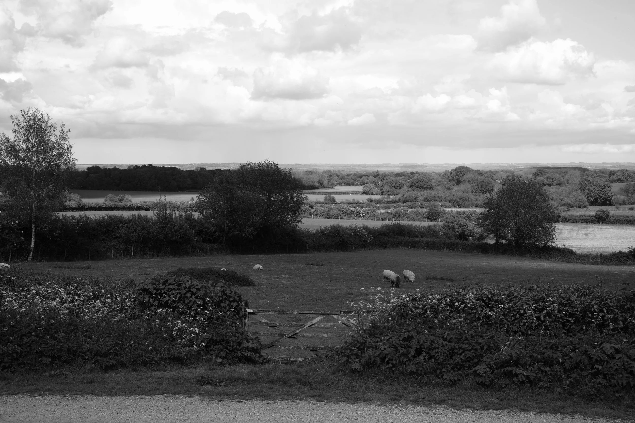 I sit and watch as nature passes, the clouds, the trees and bumblebees. The birds sweet song of summer toil, smiles at land and trees and soil. A time to think of all you have,  life is sweet and cherish that.