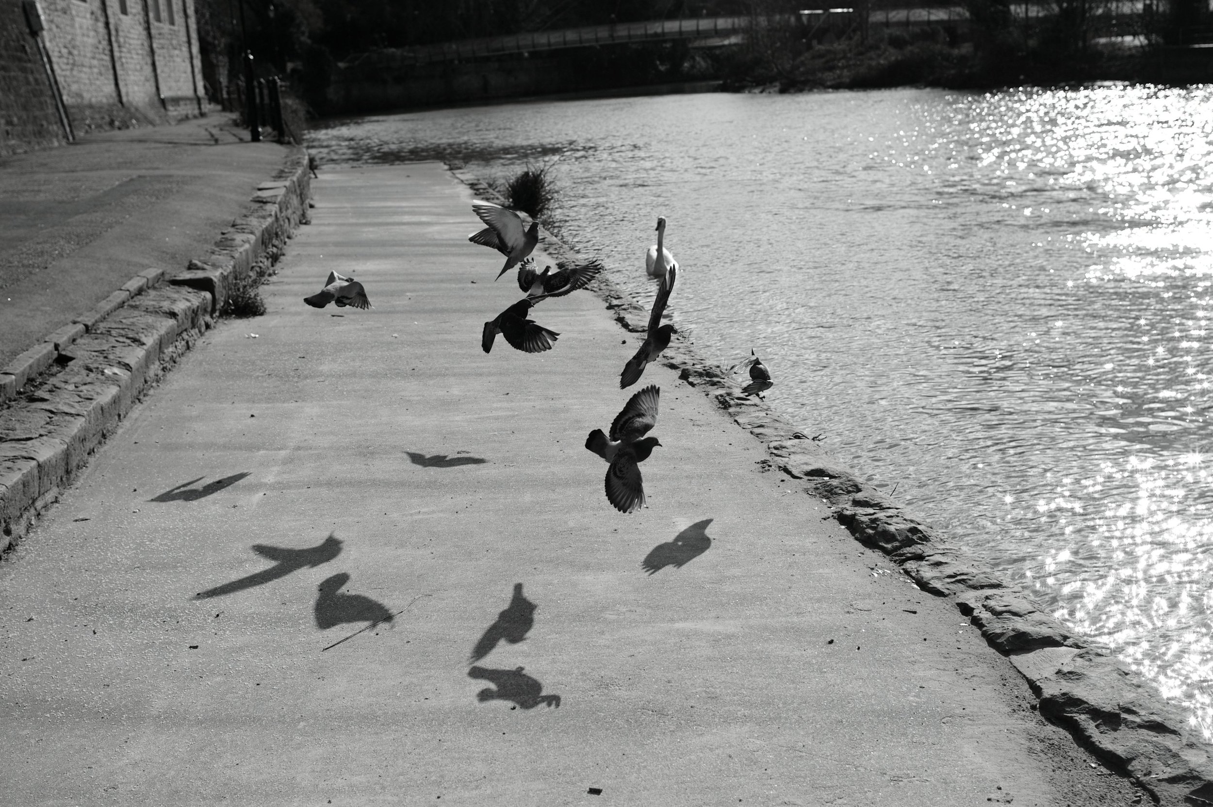 The shadows fly upon the sparkled light. The sentinels watch at wisdom's pace.