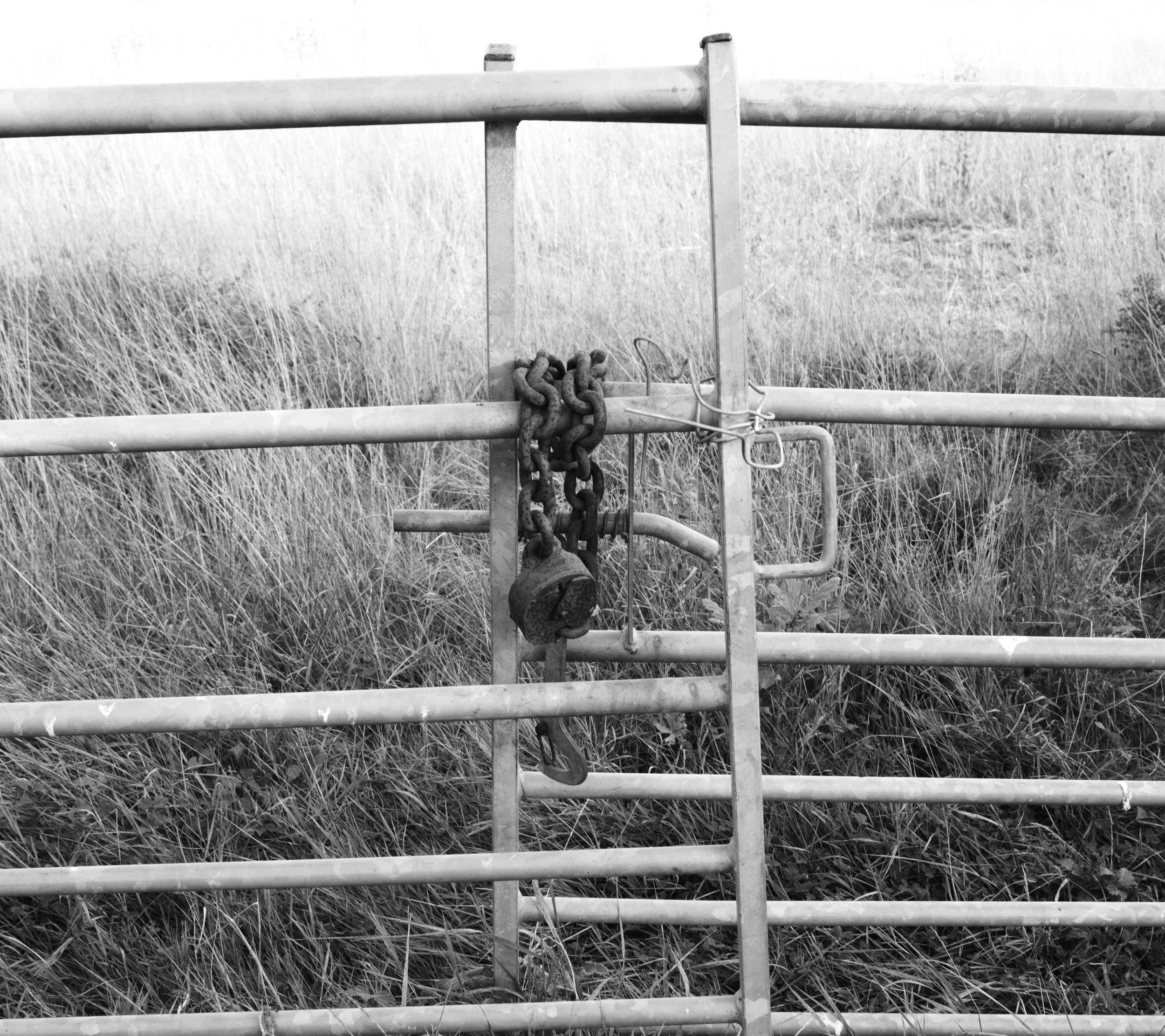 The rusting chains that hold, to push against the barriers that keep you in your place.