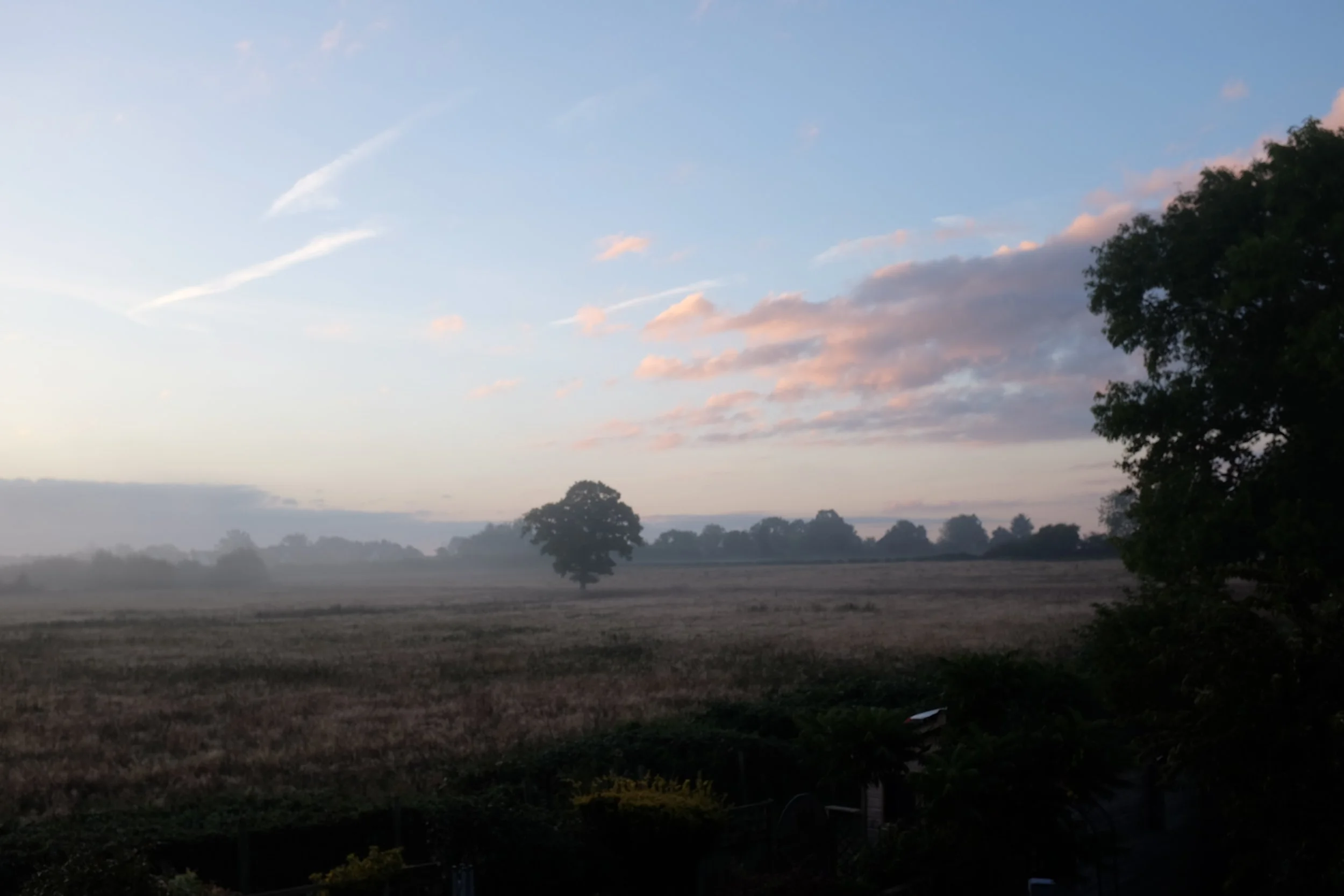 A mist, it drifts across the land. The morning light calls to wistful souls.