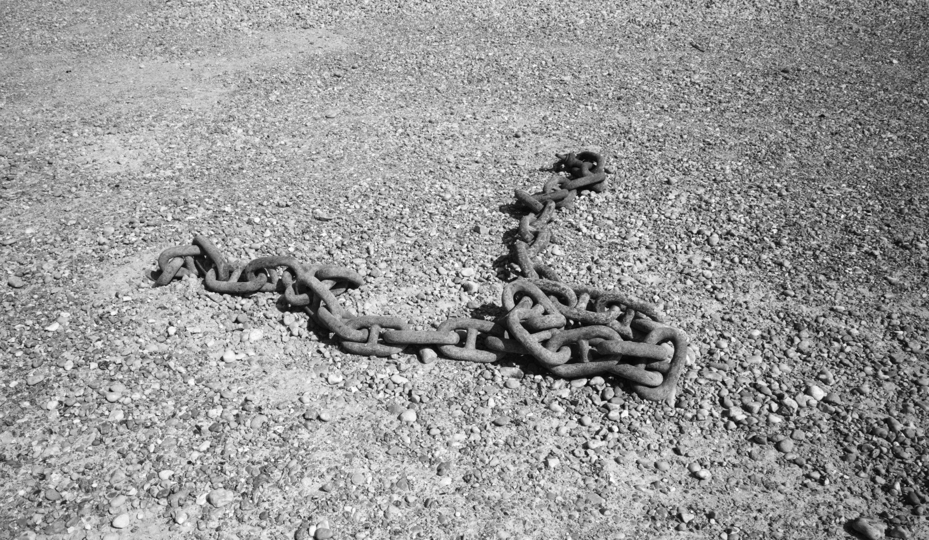 Who wears the chains of life? Be free to roam lifes lands and hills. For time ticks by and the fleeting moment pass too soon.