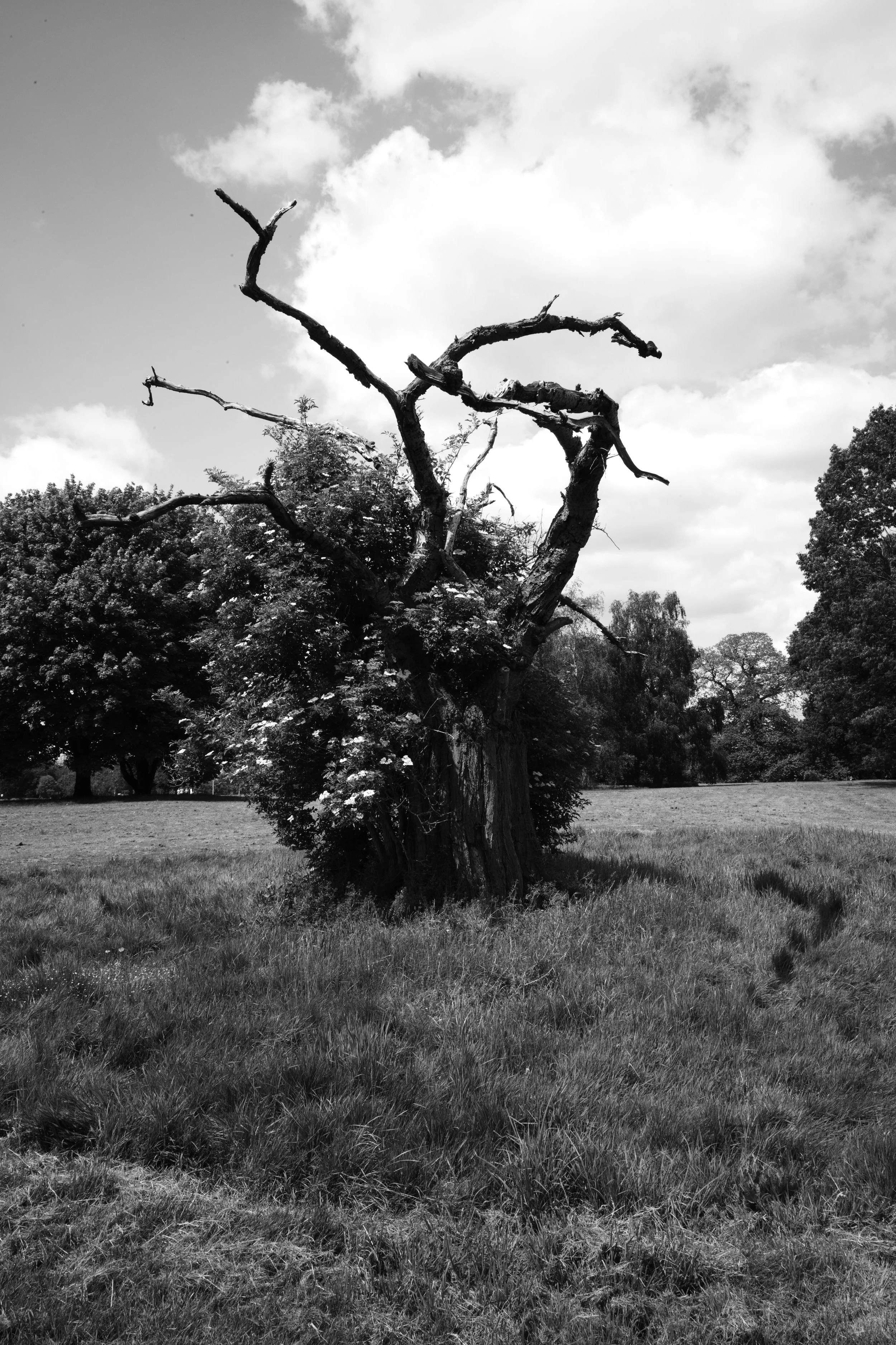 Life and death, different sides of coins that spin. Where one appears the other lurks near. Live a life, the time is short.