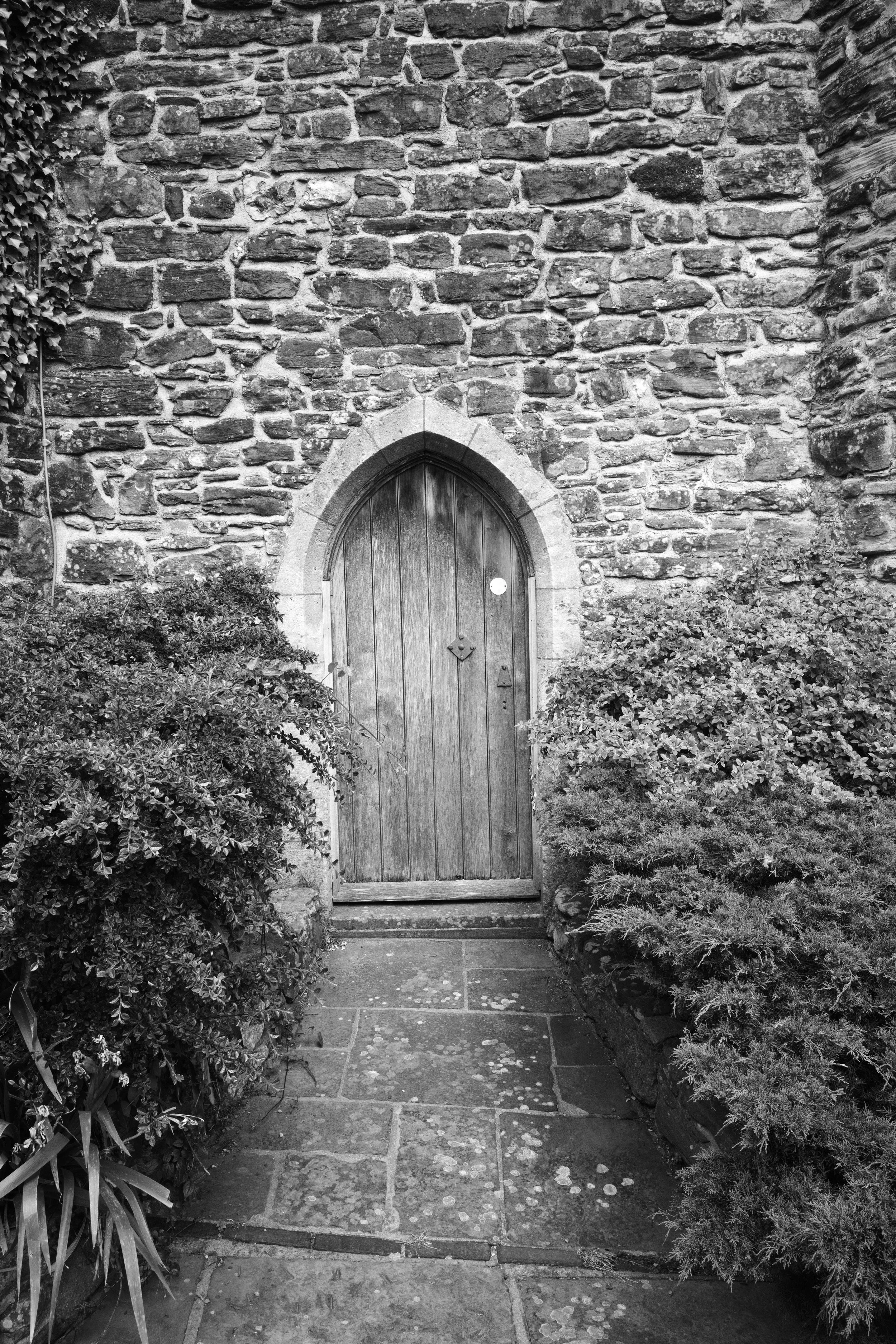 The door, to who knows where. Does it hold the barrier to the secrets often sought. A door that bars your lifes desire. It stands before thee, but reveals not, for thy own destiny lies upon the path you chose. To break it down and see or accept the p