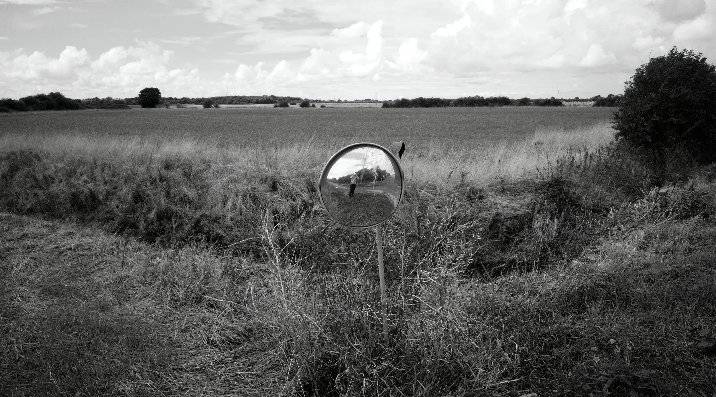 A self in nature, reflects upon the land. As clouds and seed march on the rivers of time.