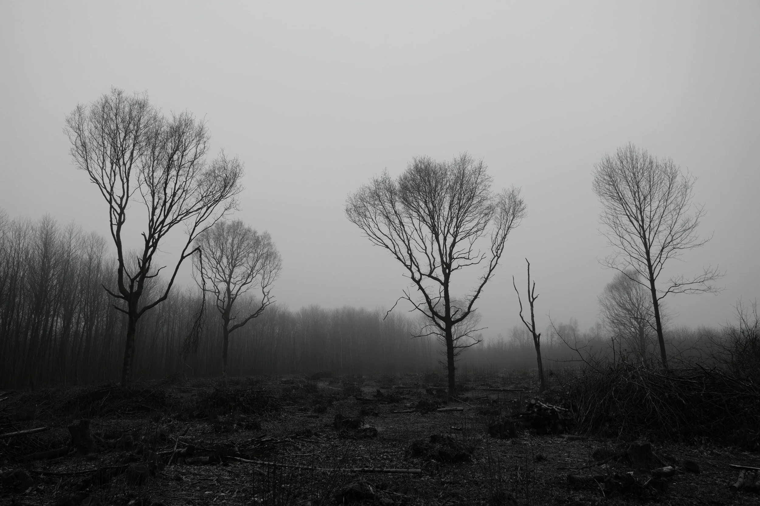 The greys stand before the jury. The guilty fall.