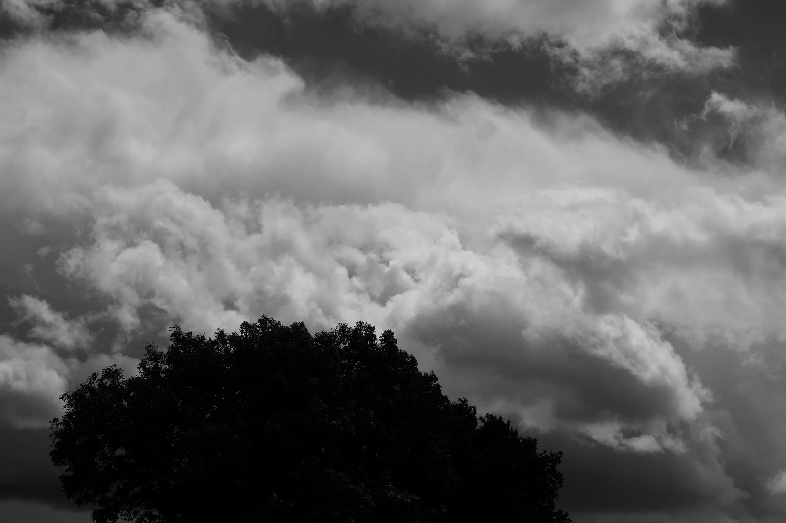 The dark clouds of histories mistake growl and tumble. Thy destiny repeats if lesson go unlearned.