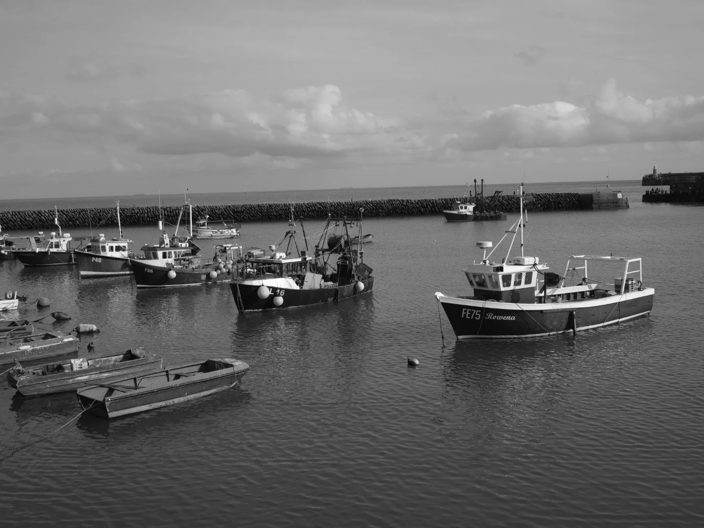 They shelter from the oceans rath, they risk it all to feed hungers pain.