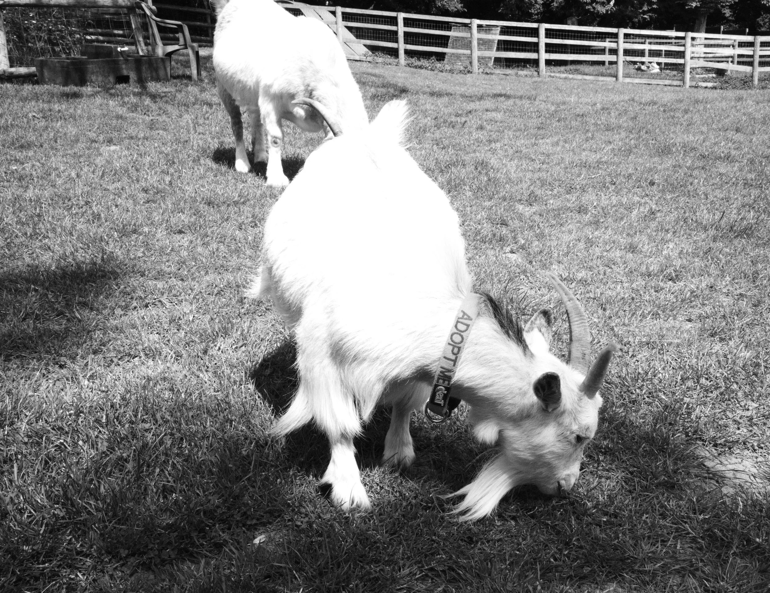 Hey who turned the lights out, its dark in here.