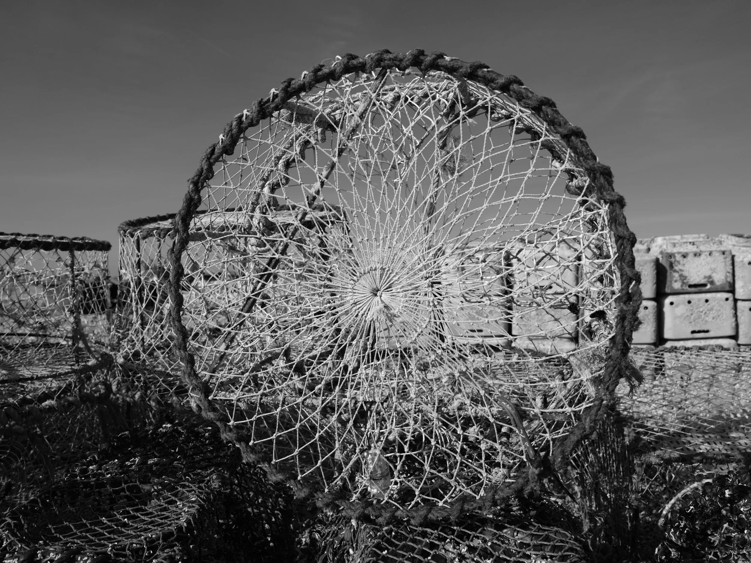 The webs we weave