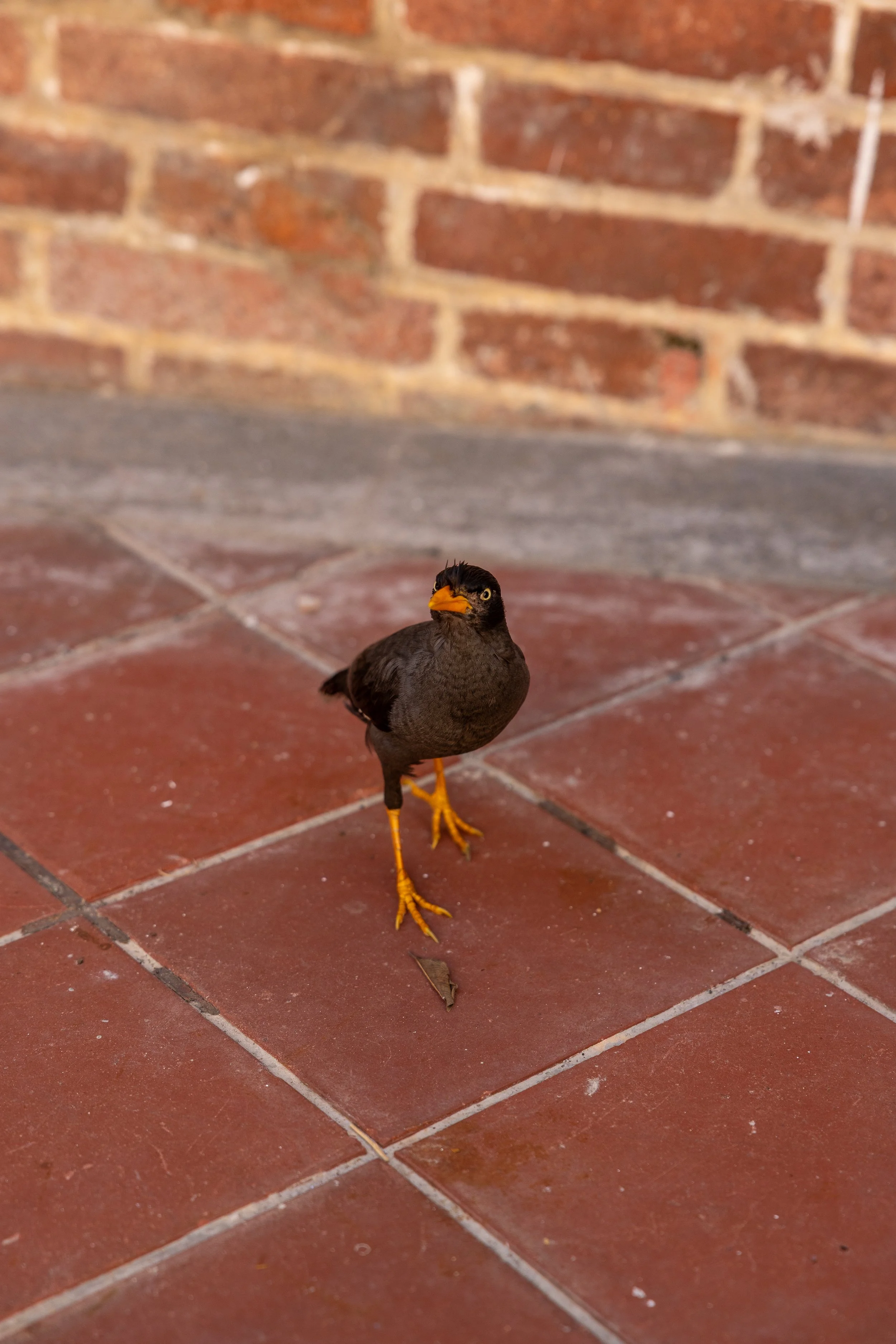 IMG_3006.jpg