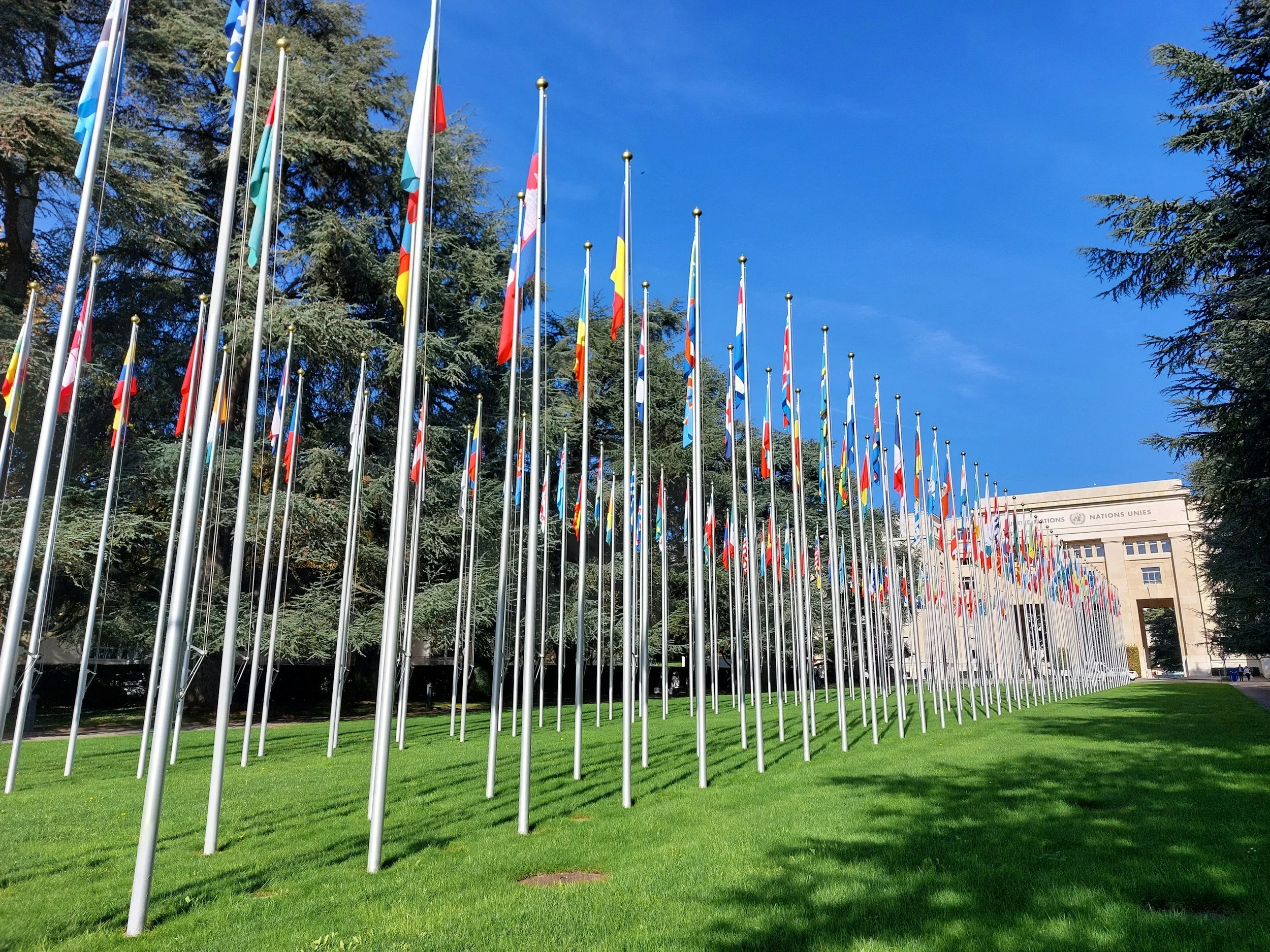 What Would Make a Multilateral Credit Rating Agency Consequential?