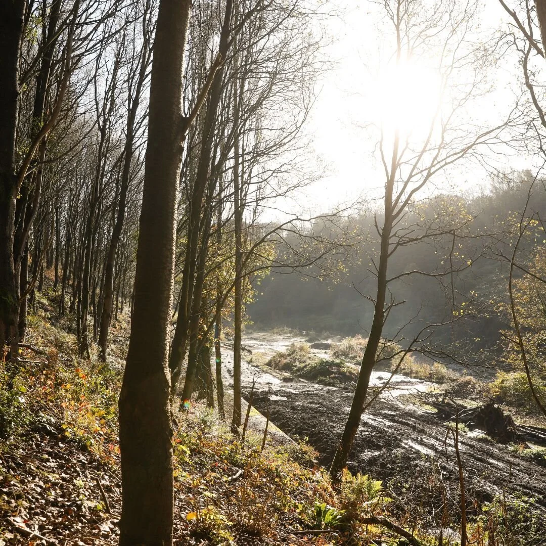 Preservation of trees is a priority for us before we begin our work and also during each stage of the development 🌲🌳
Even before construction starts, we are protecting woodland trees. We have compensated for any loss of habitats in our landscape p