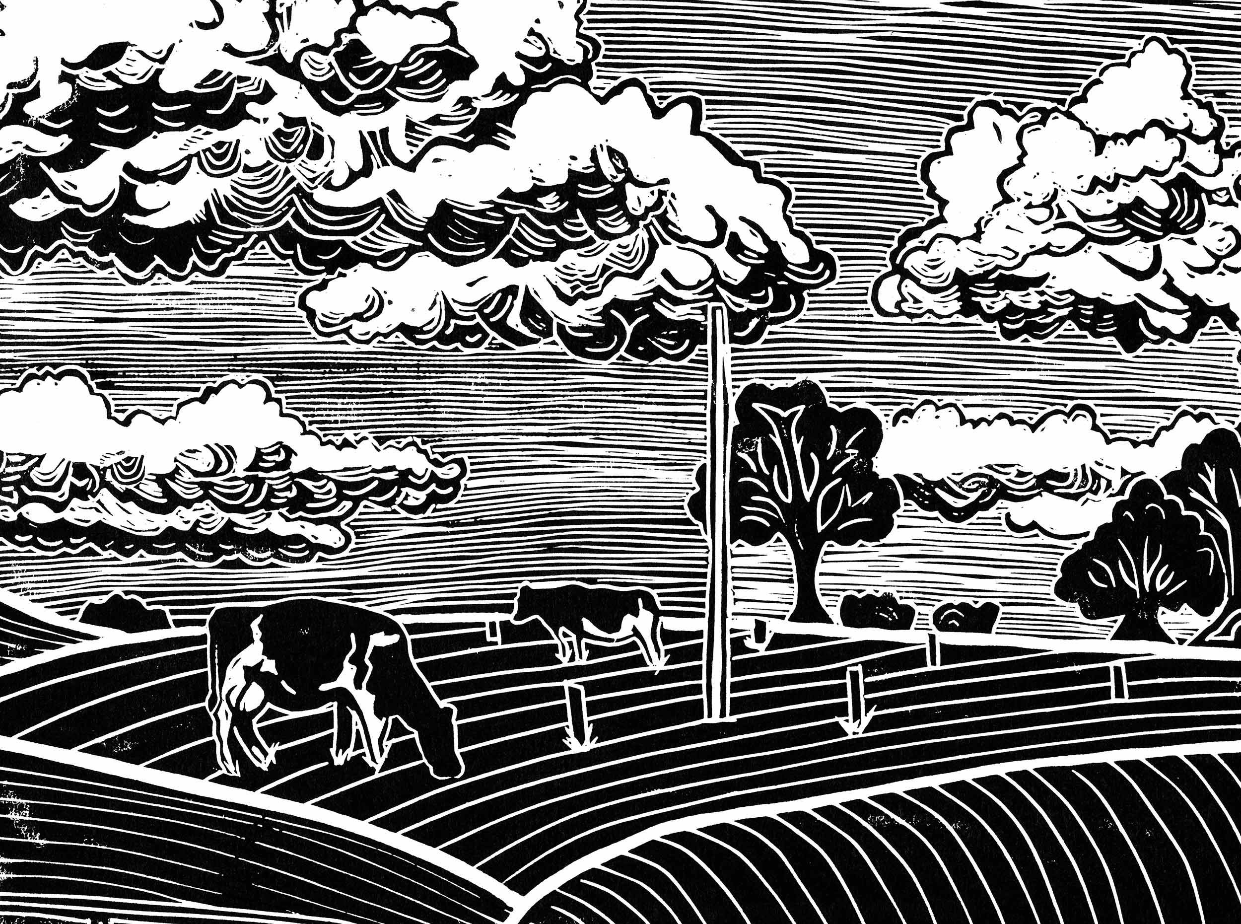 BrehonBrewhouse_Lino_Pasture.jpg