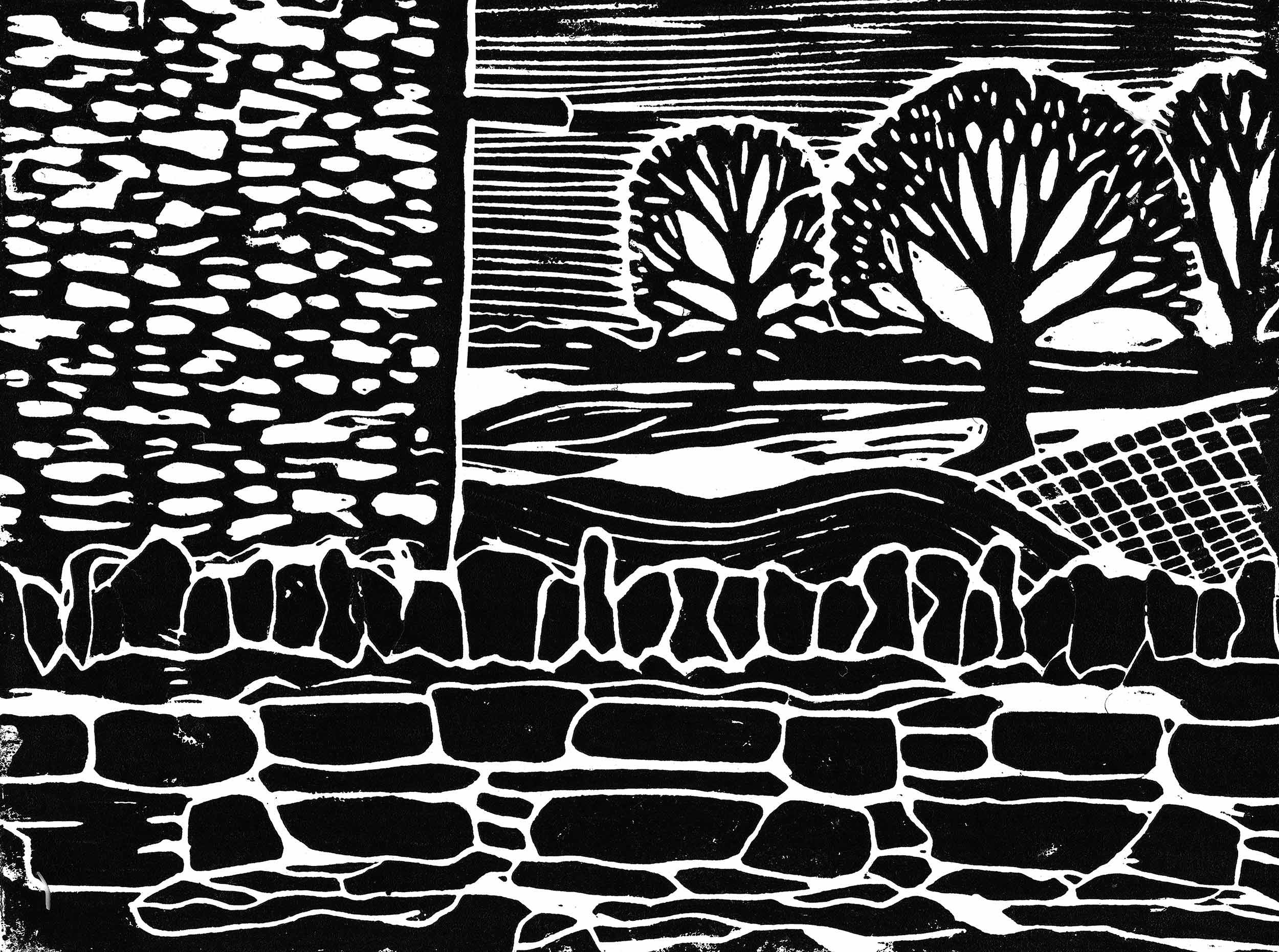 BrehonBrewhouse_Lino_Field.jpg