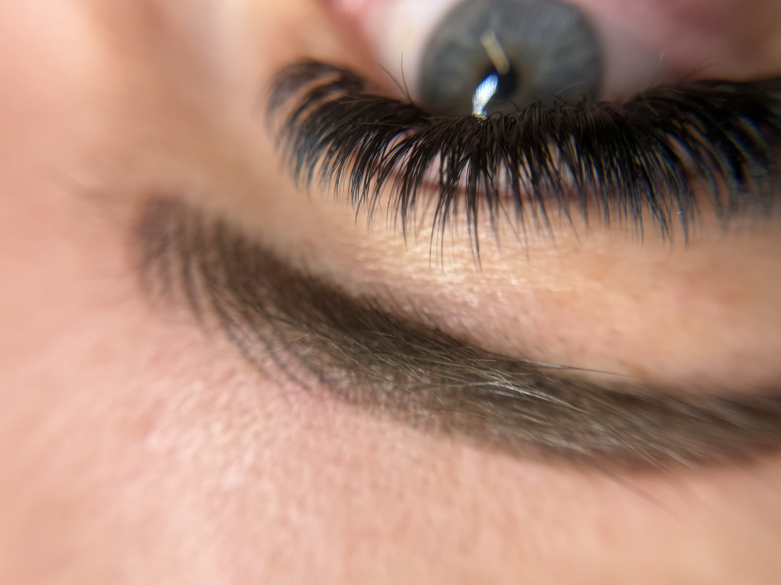 combo brow and volume lashes