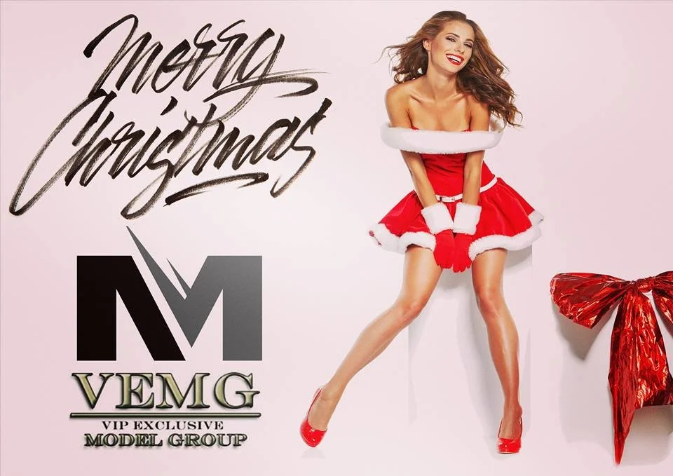 A woman in a red Christmas dress with white fur trim, smiling, with long wavy hair, standing next to a large red bow. The background is white with the words 'Merry Christmas' written in black cursive and logo text 'VEMG VIP Exclusive Model Group' on the left side.
