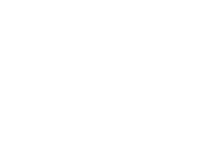 Absolute Charm Wine Tours