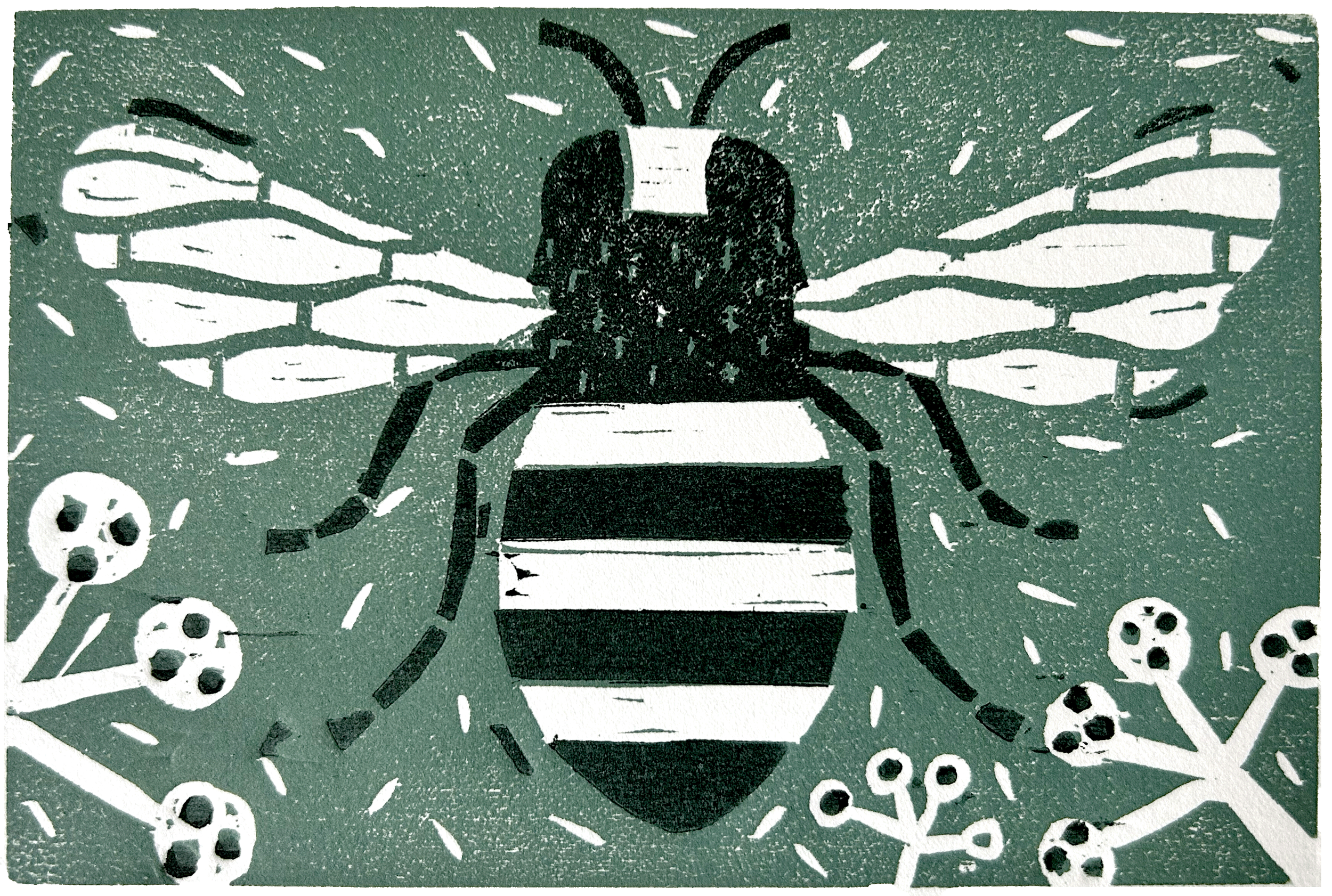 A stylized illustration of a bee with outstretched wings, flight patterns, and surrounding honeycomb cells on a green background.