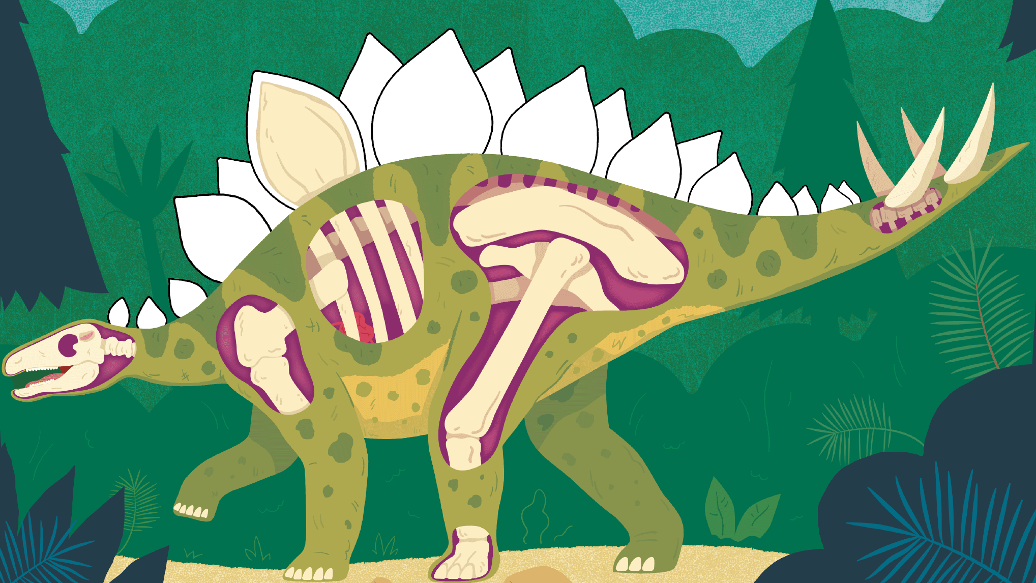 ian+cunliffe+dinosaur+illustration+stegosaurus.png