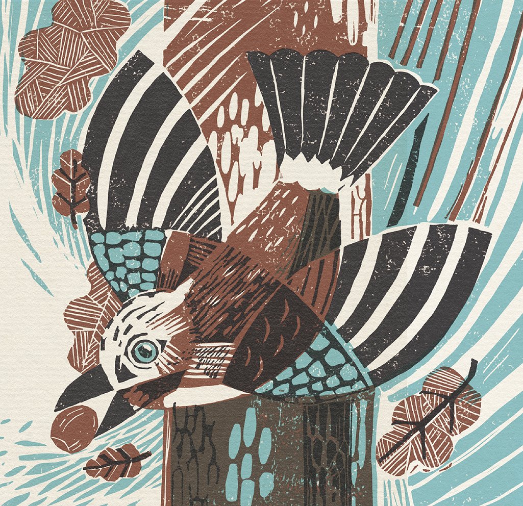Ian+Cunliffe+illustrator+illustration+jay+acorn.jpg