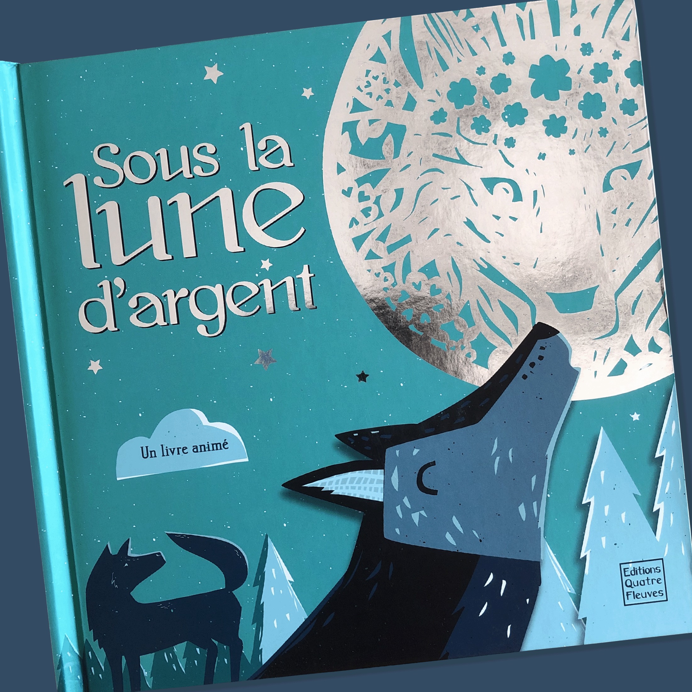 Night-time Pop-Up Book