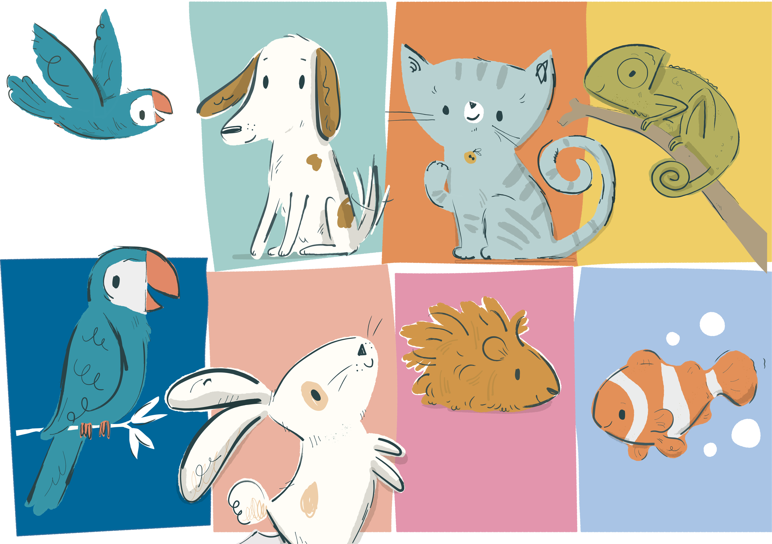 Pet parade illustration Ian Cunliffe-03.png