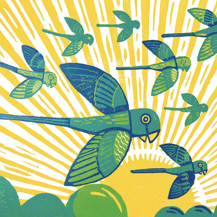 Illustration of hummingbirds flying against a bright yellow background with white rays, and a sun setting over green hills.