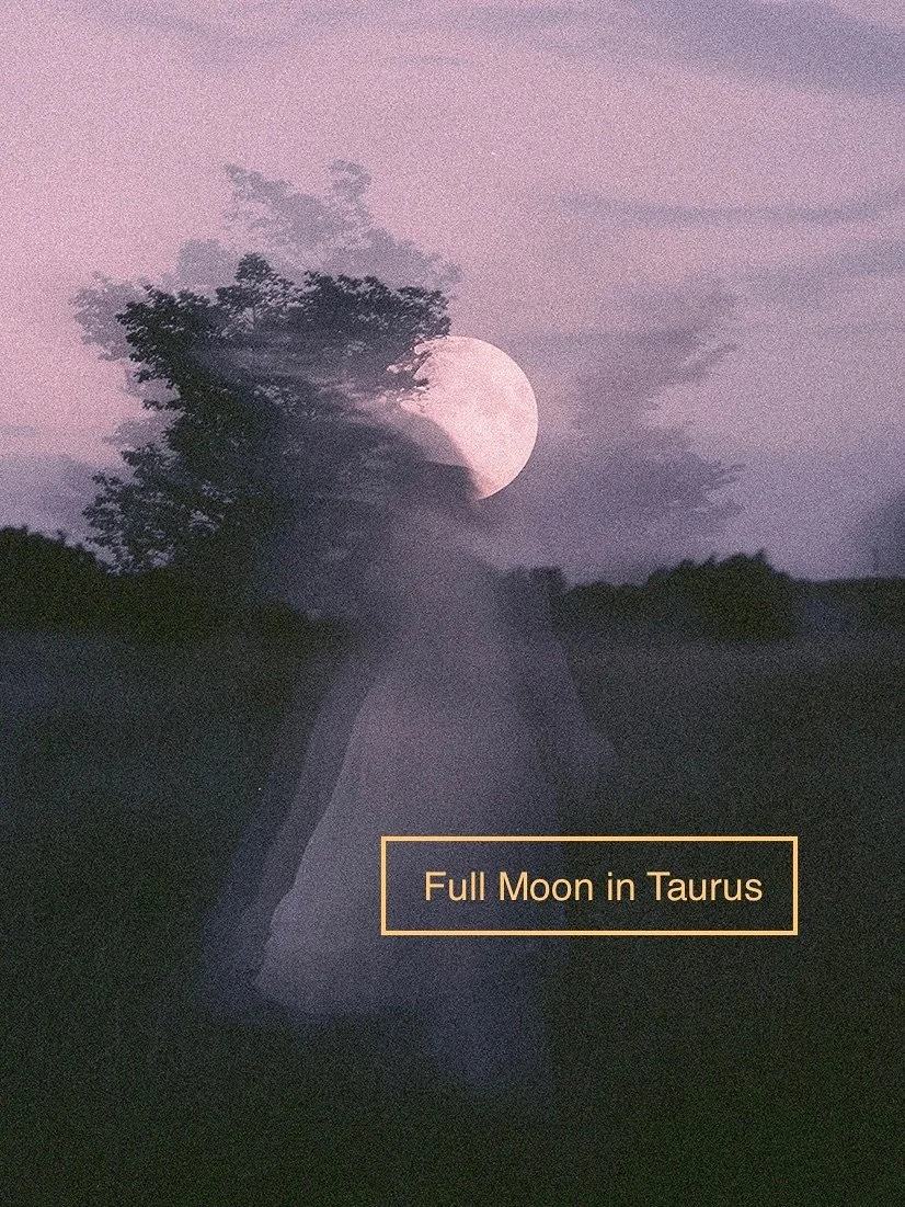The sacred act of being present in your body.
Your body knows what your mind resists.

This Full Moon in Taurus brings us back to a universal truth:
We are abundance, love, and light.
It&rsquo;s the mind that creates the distance.

Shout into the voi