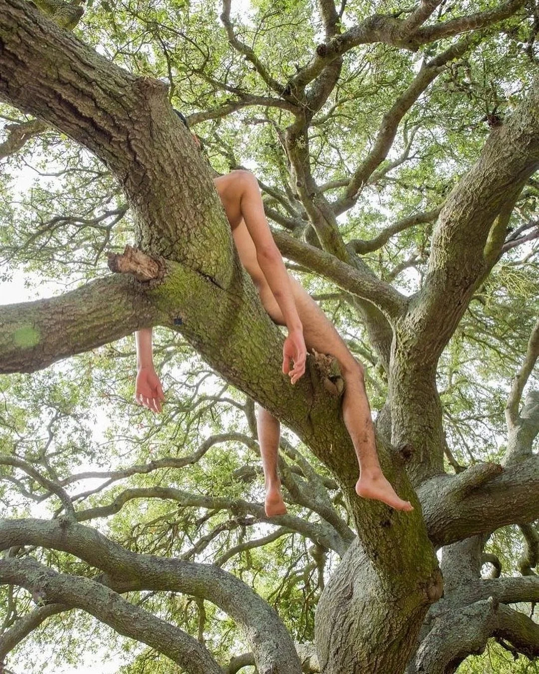 Your essence is alive, untouched and pure. 
Untamed, free-thinking, free-believing. 

What we once were and slowly lost. 
What we still are, but often forget. 

Wild at the core, free from conditioning. 
Deeply aware, deeply conscious to choose.

-&m