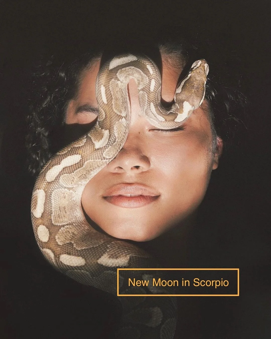 Be here, present, moving with the rhythm of energy.
Releasing, slowly, the resistance to change.

We don&rsquo;t always know how to embody a new skin.
What&rsquo;s familiar feels safe&hellip; until it quietly stops being so.

This New Moon in Scorpio