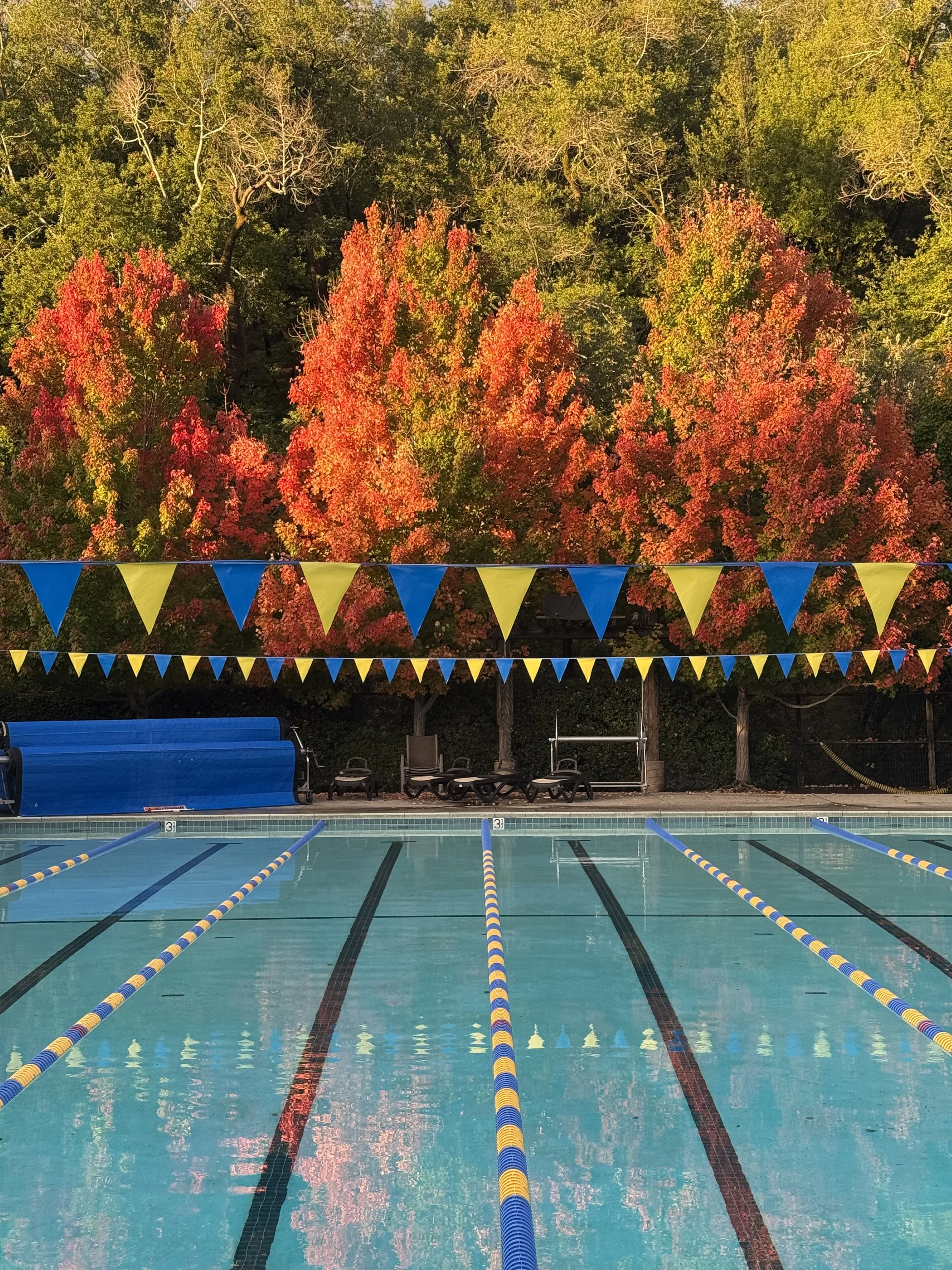 Fall Swim Lessons Marin County, Learn to Swim Marin County, Private Lessons Marin County