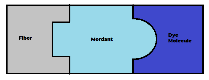 What’s the difference between a mordant and a modifier in dyeing?