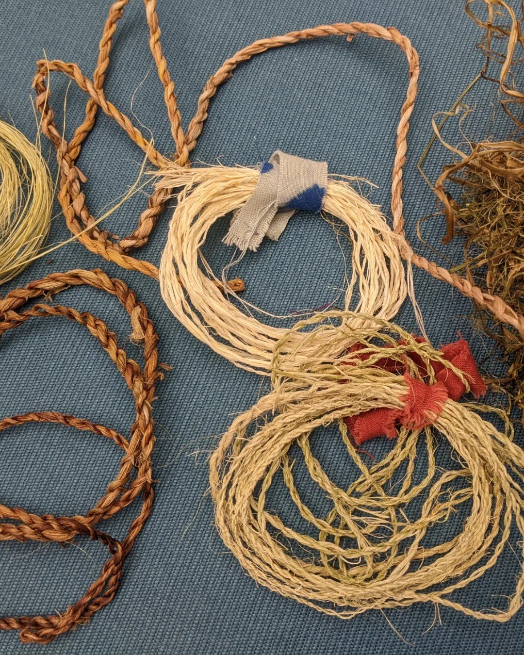 Foraged Cordage & Basketry