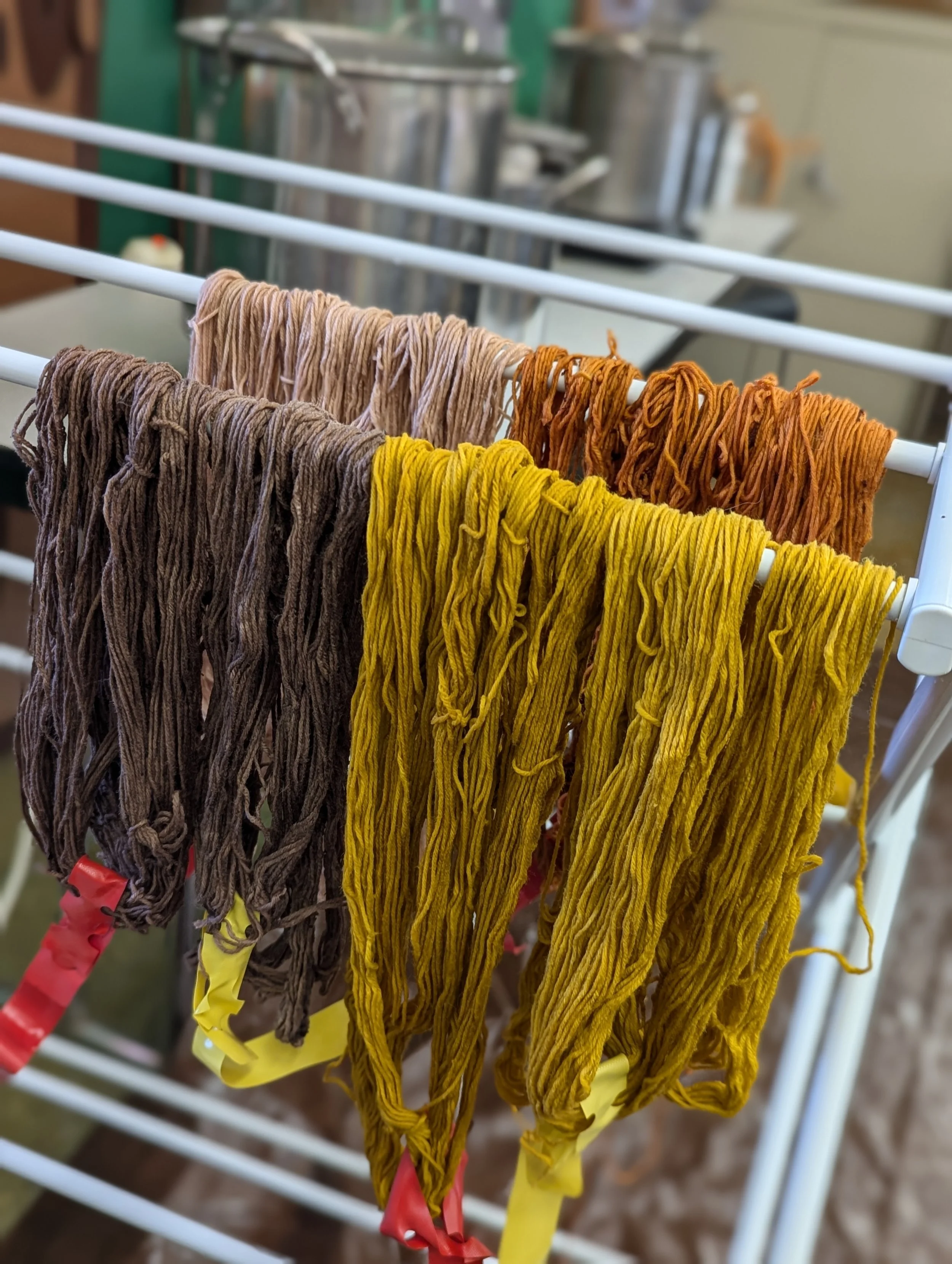 Natural Dye Workshop
