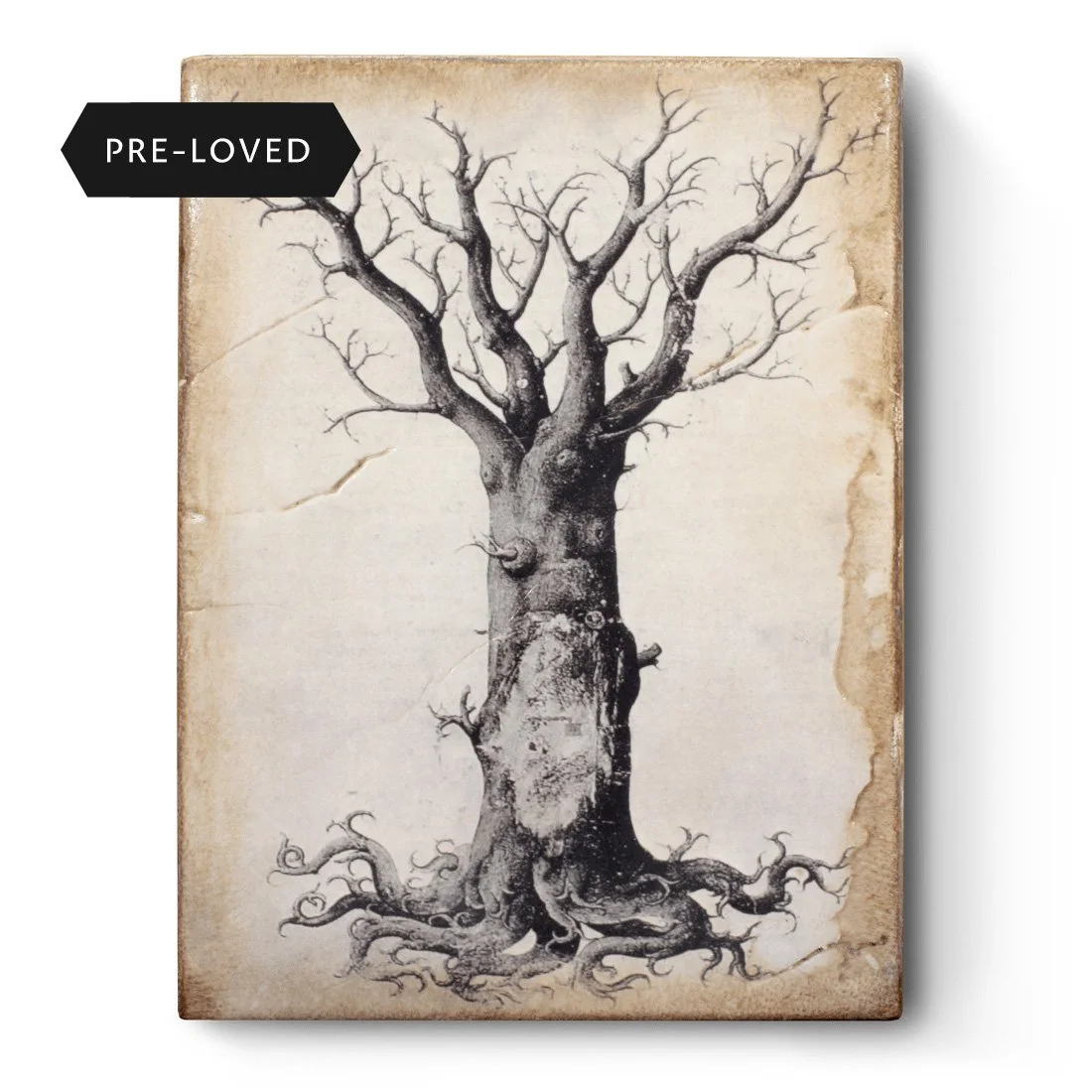 Sid Dickens T125 Medieval Tree Of Life, Front View.