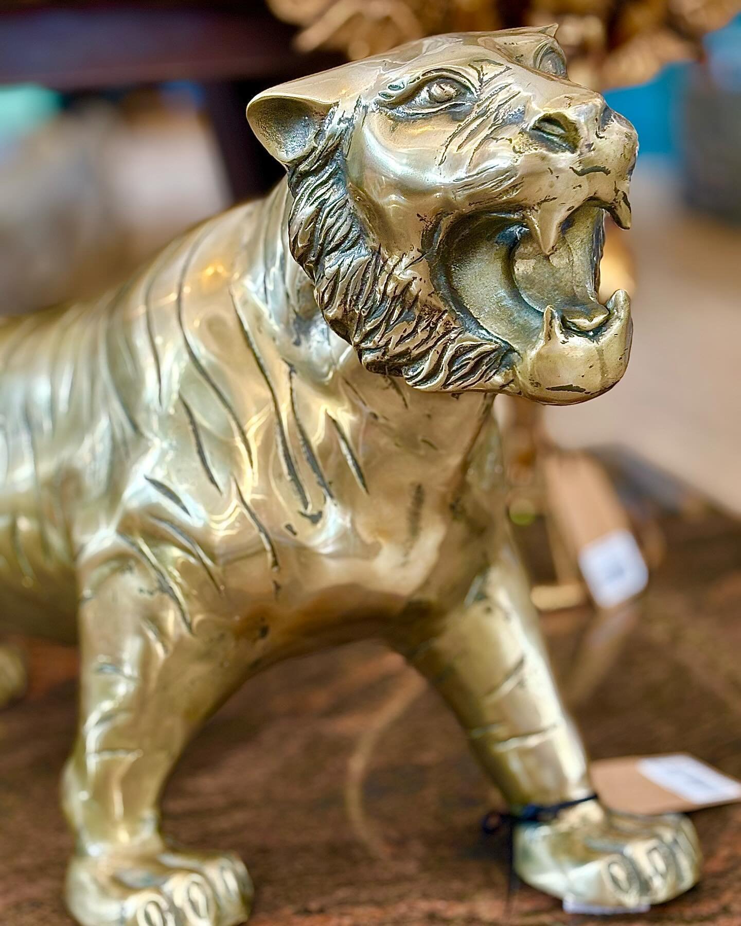 Introducing&hellip; our majestic prowling tiger! 

Help us give him a name as powerful as he is 🐅👑

Share your suggestions below!

#ProwlingTiger #SupportSmallBusiness #ShopSmall #SupportSmall #CescaFinds #NameTheTiger #LoveWestbourne #MajesticTige