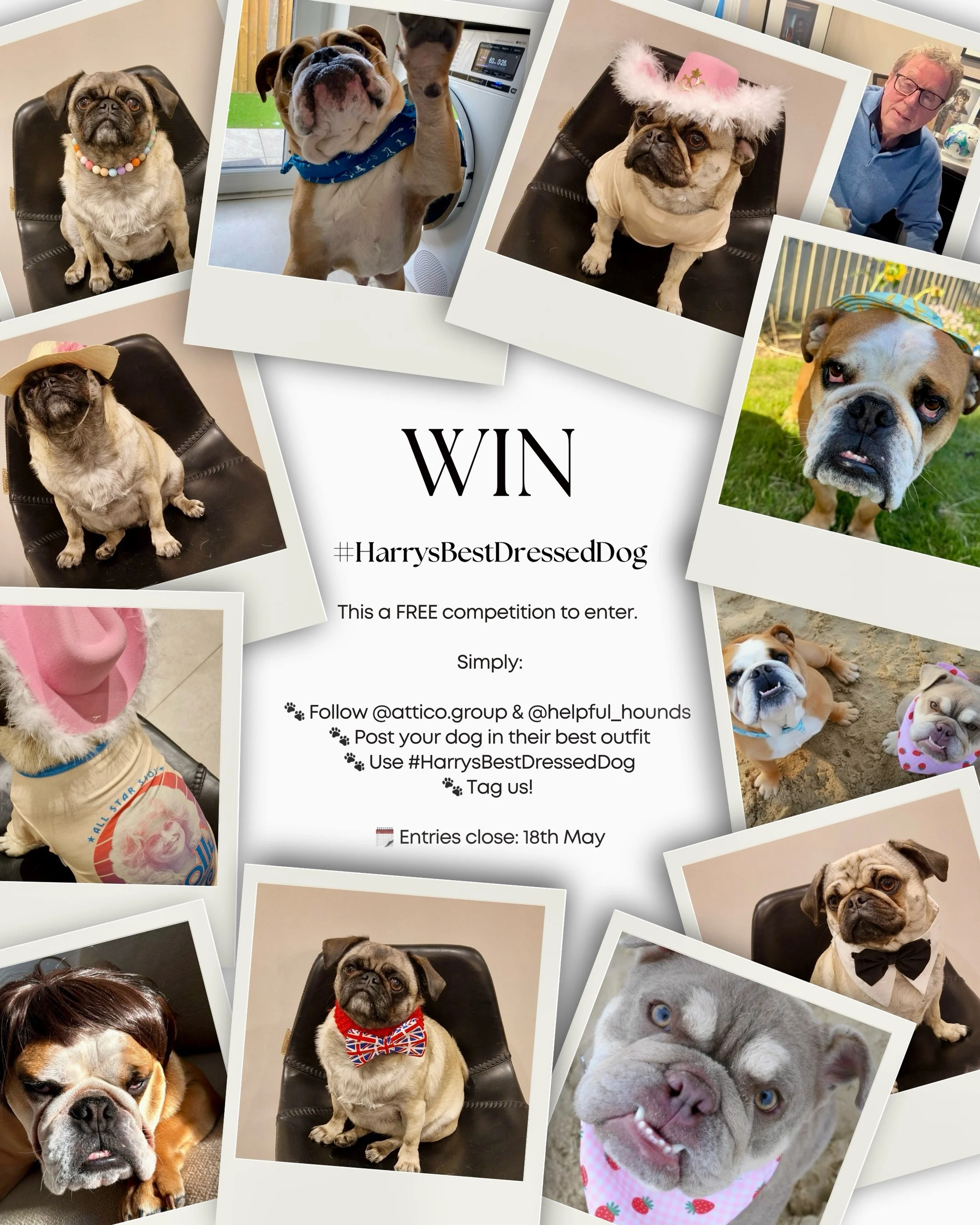 You may have already seen it, but just a quick reminder 🐾✨

Our Harry&rsquo;s Best Dressed Dog competition is open &mdash; and it&rsquo;s completely FREE to enter 🤍

We&rsquo;d love to see your dogs in their best outfits, so don&rsquo;t hold back&h