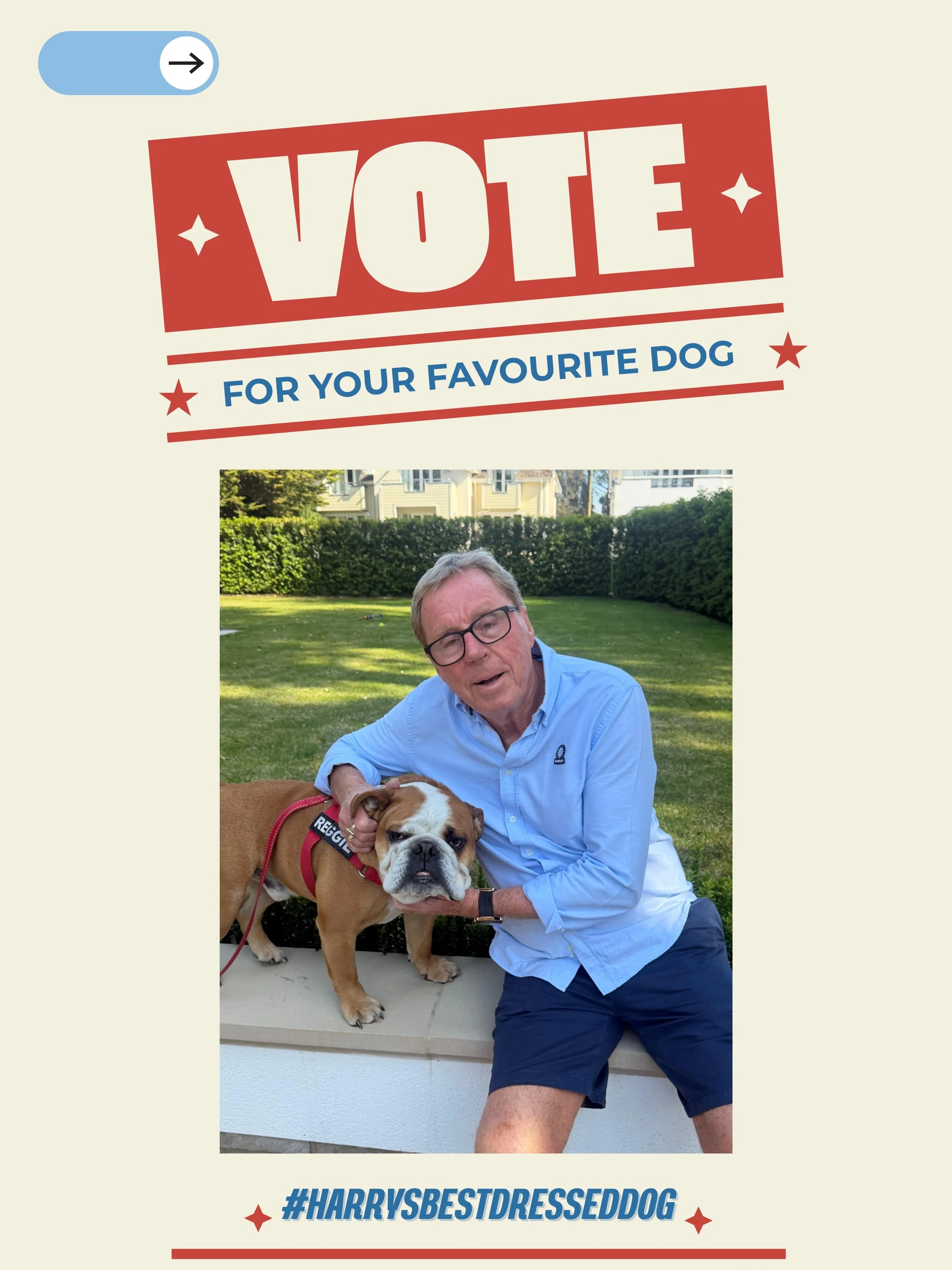 Thank you for all of your fabulous entries to #HarrysBestDressedDog &mdash; we&rsquo;ve loved seeing your very glamorous, very gorgeous doggies steal the spotlight 🐾✨

It was no easy decision, but @harryredknapp has chosen his Top 3 finalists&hellip